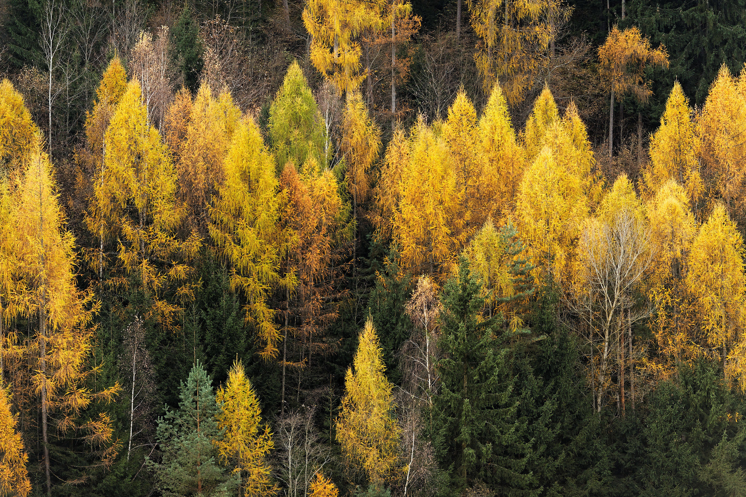 Autumn in Val di Funes