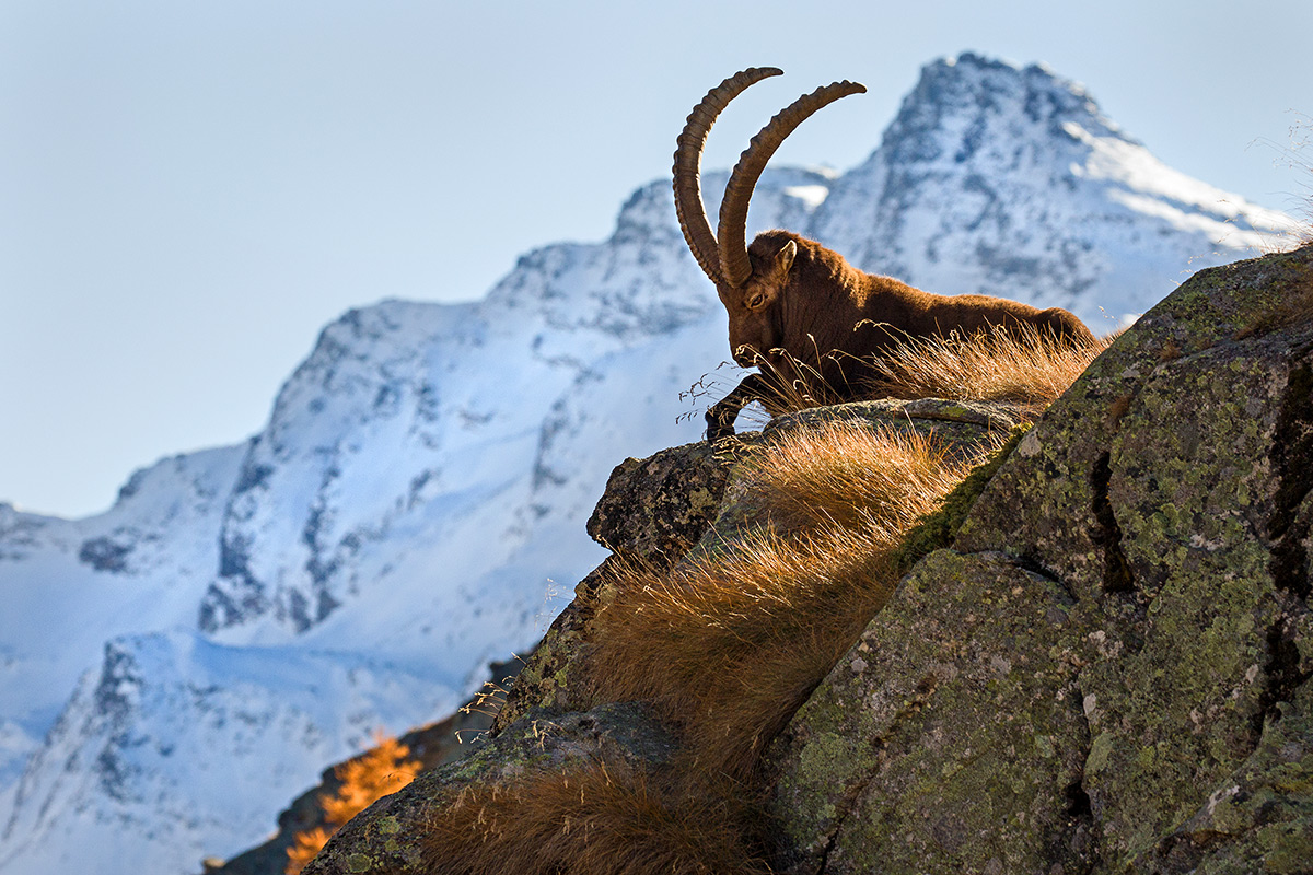ultimi raggi di sole