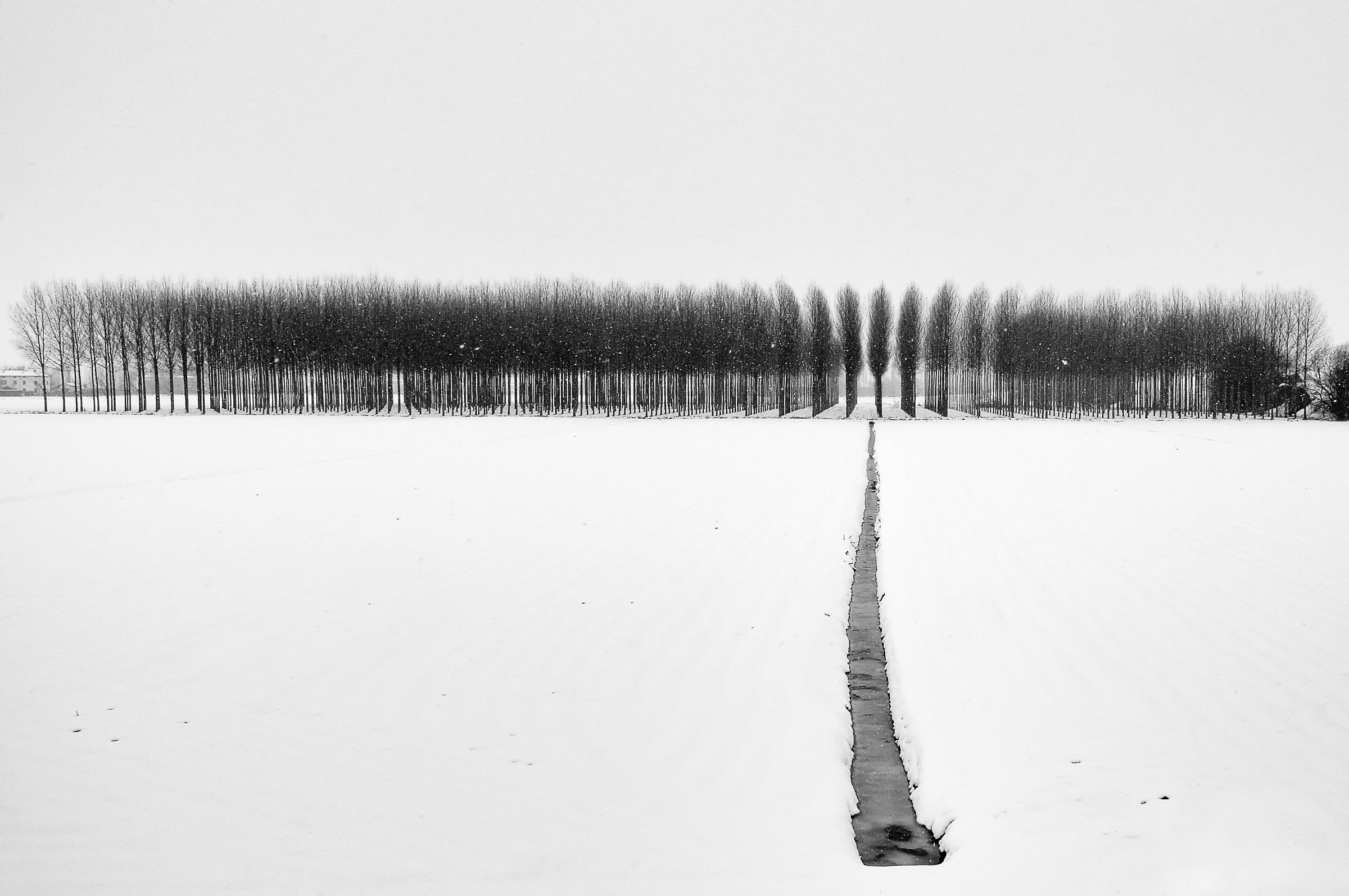 The quiet road of snow