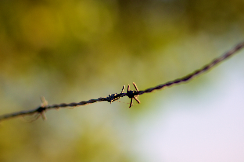 Barbed Wire