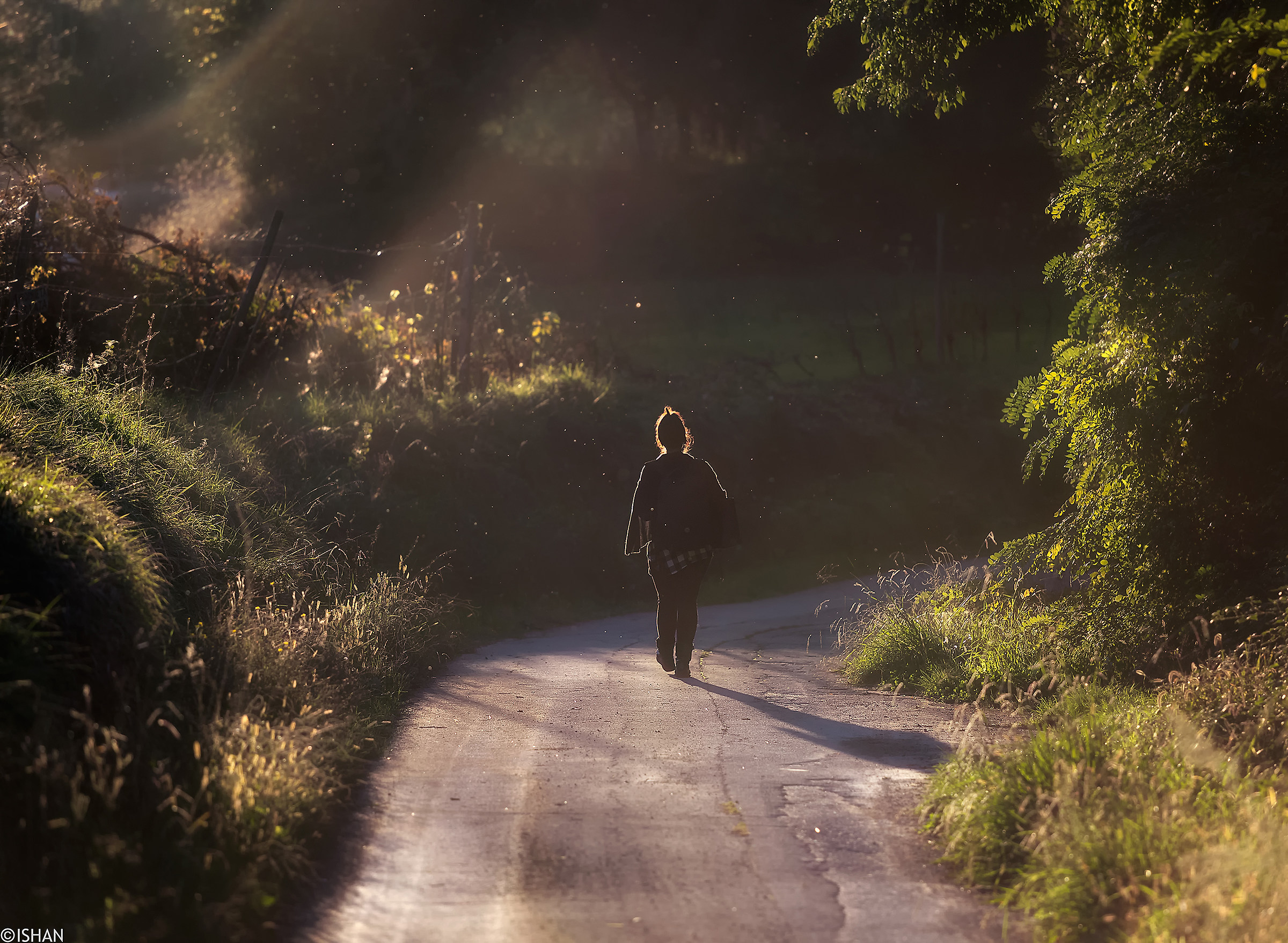 Fatine sulla via di ritorno
