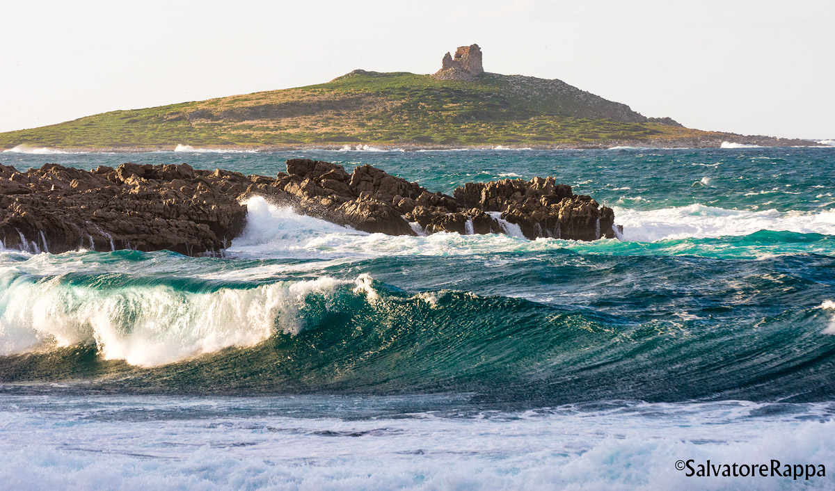C'è sempre un motivo per uscire a fotografare...