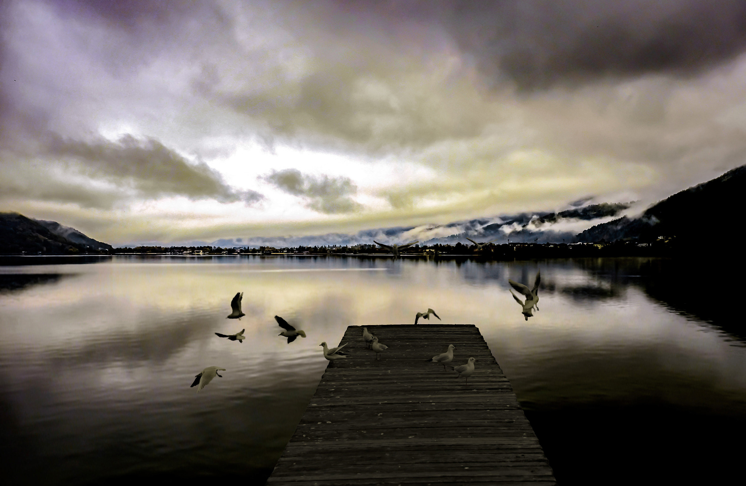 The Winter of Our Discontent