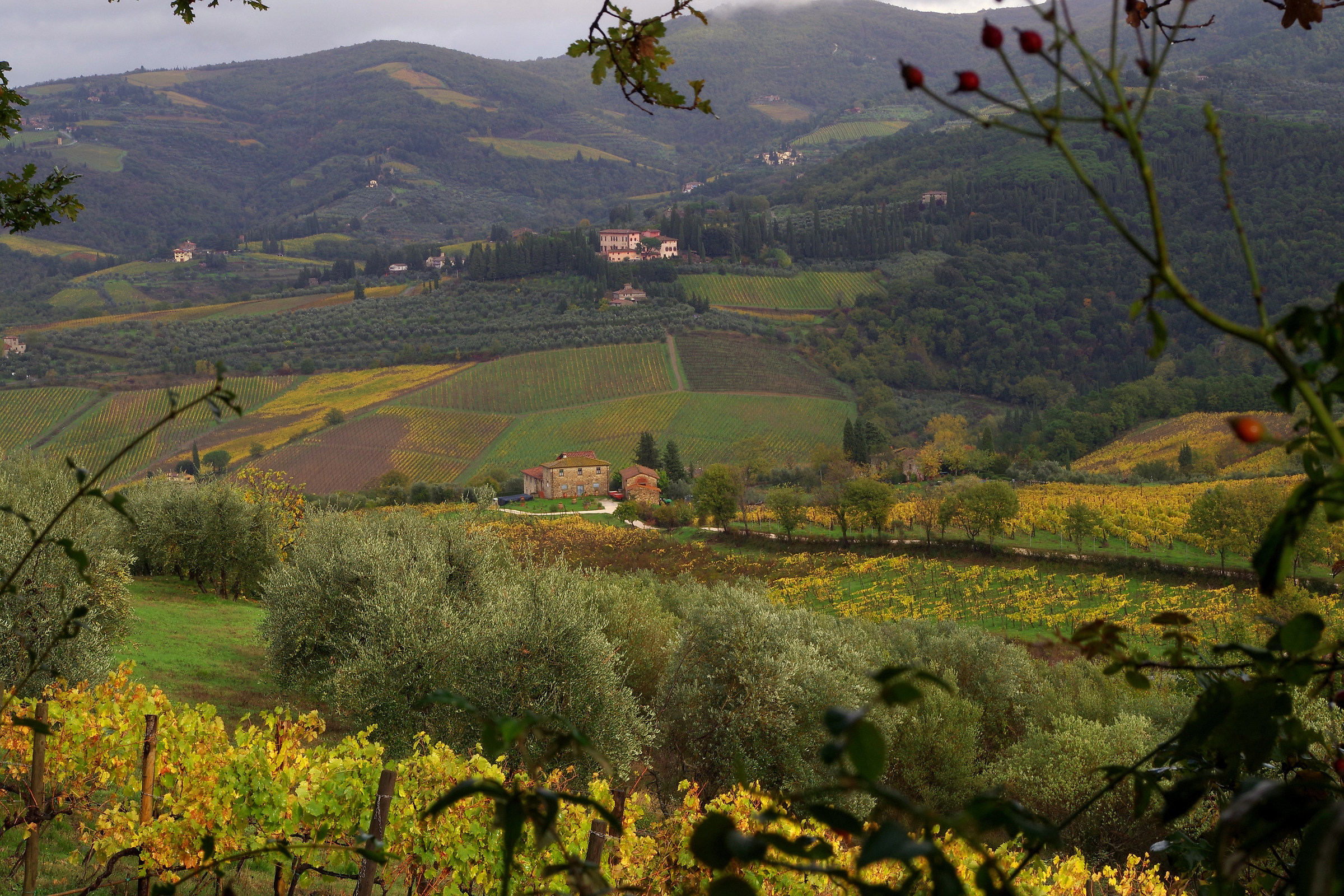 Autunno A Greve In Chianti