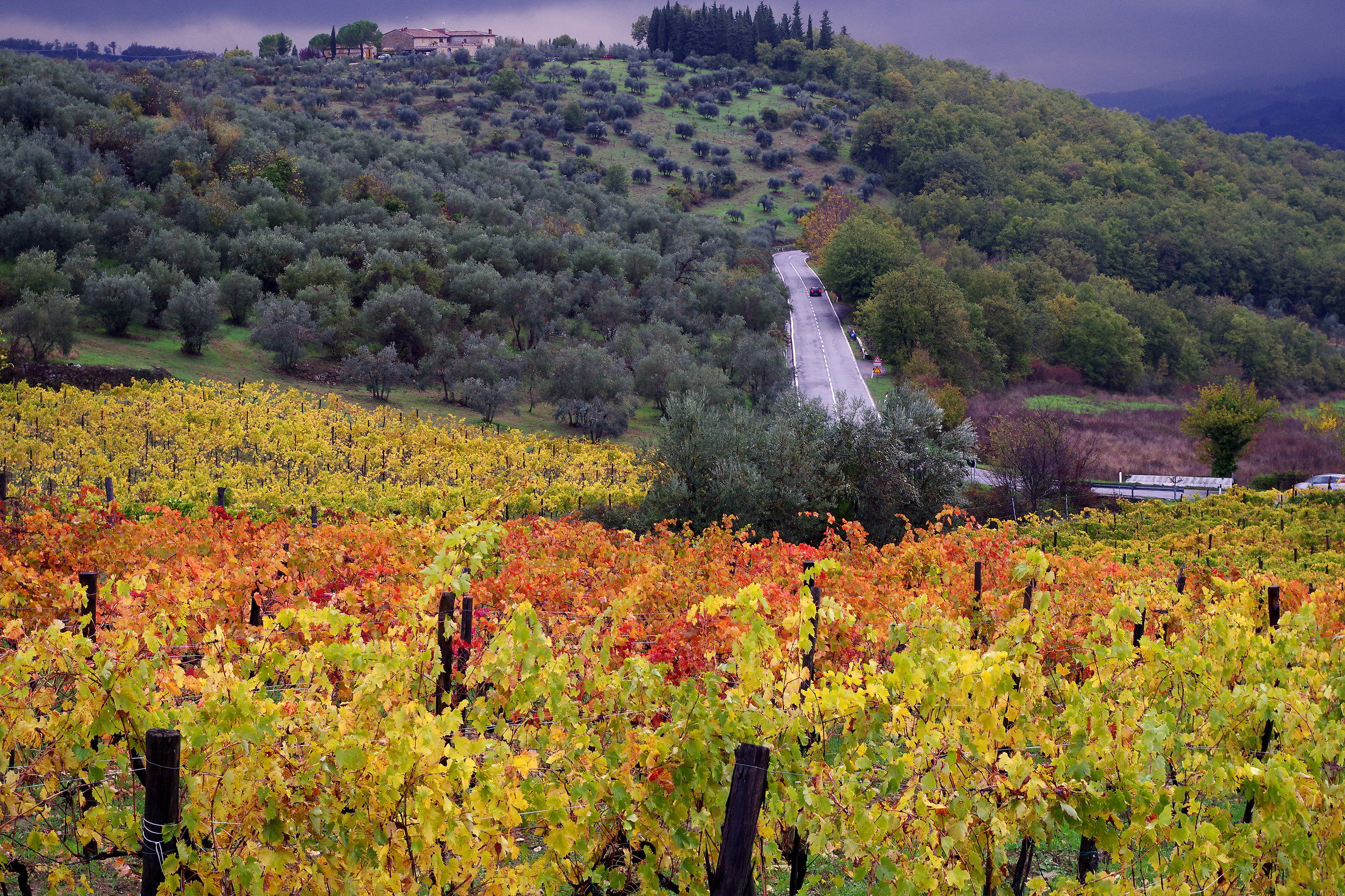 Tra Panzano e Greve In Chianti