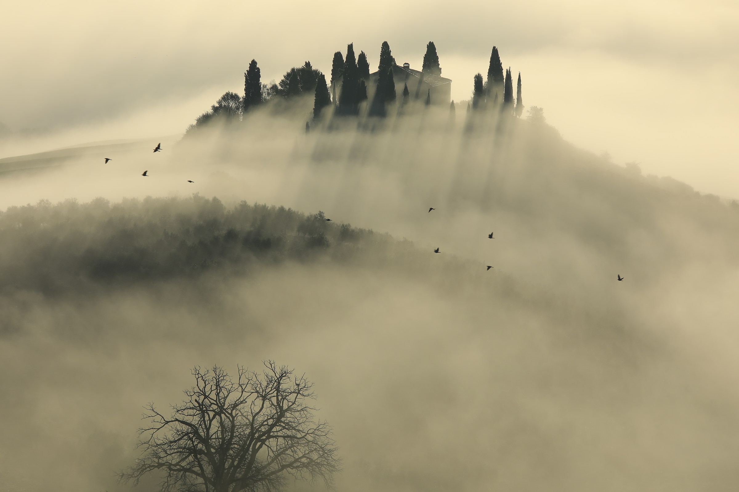 Sunrise in Val d'Orcia