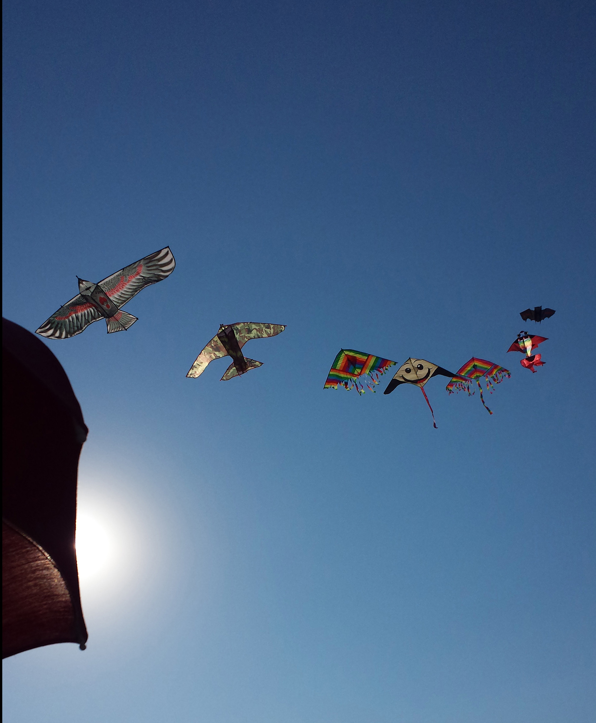 attaccheremo all'alba!