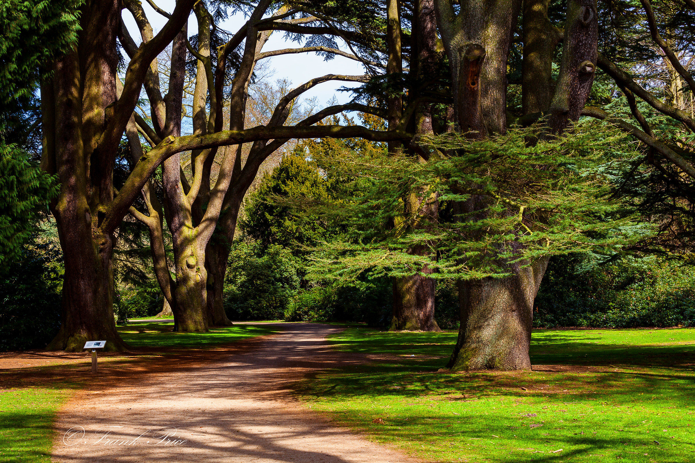 A Walk in Clumber Park