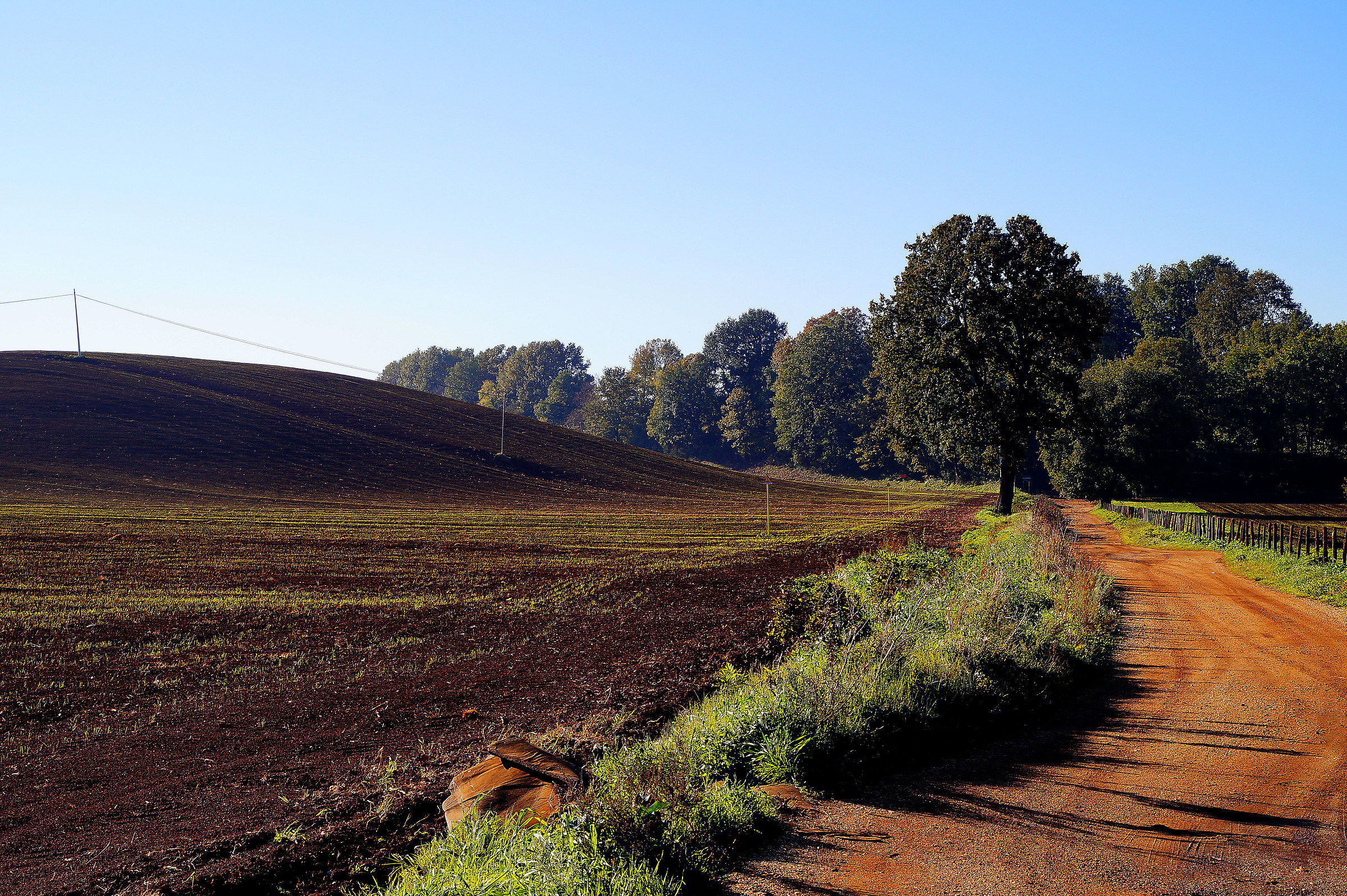 Campagna di Velletri