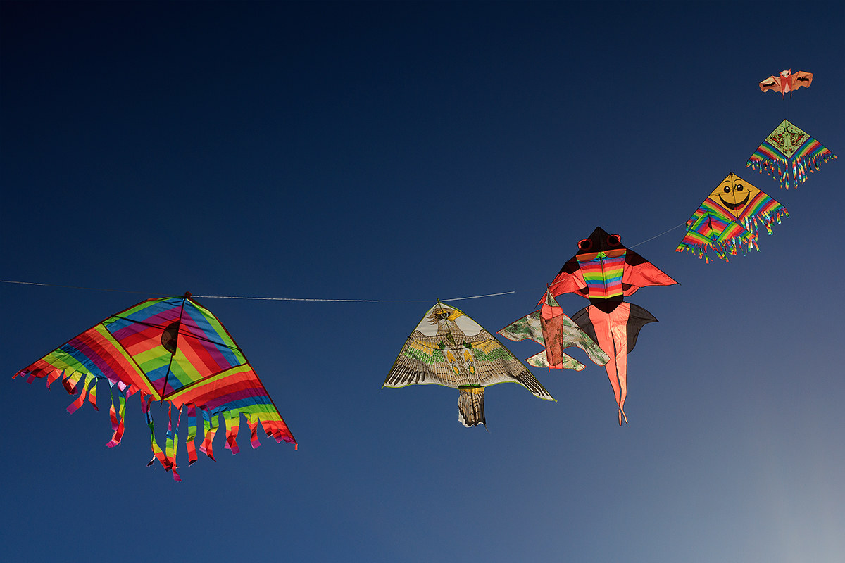 aligned and discovered