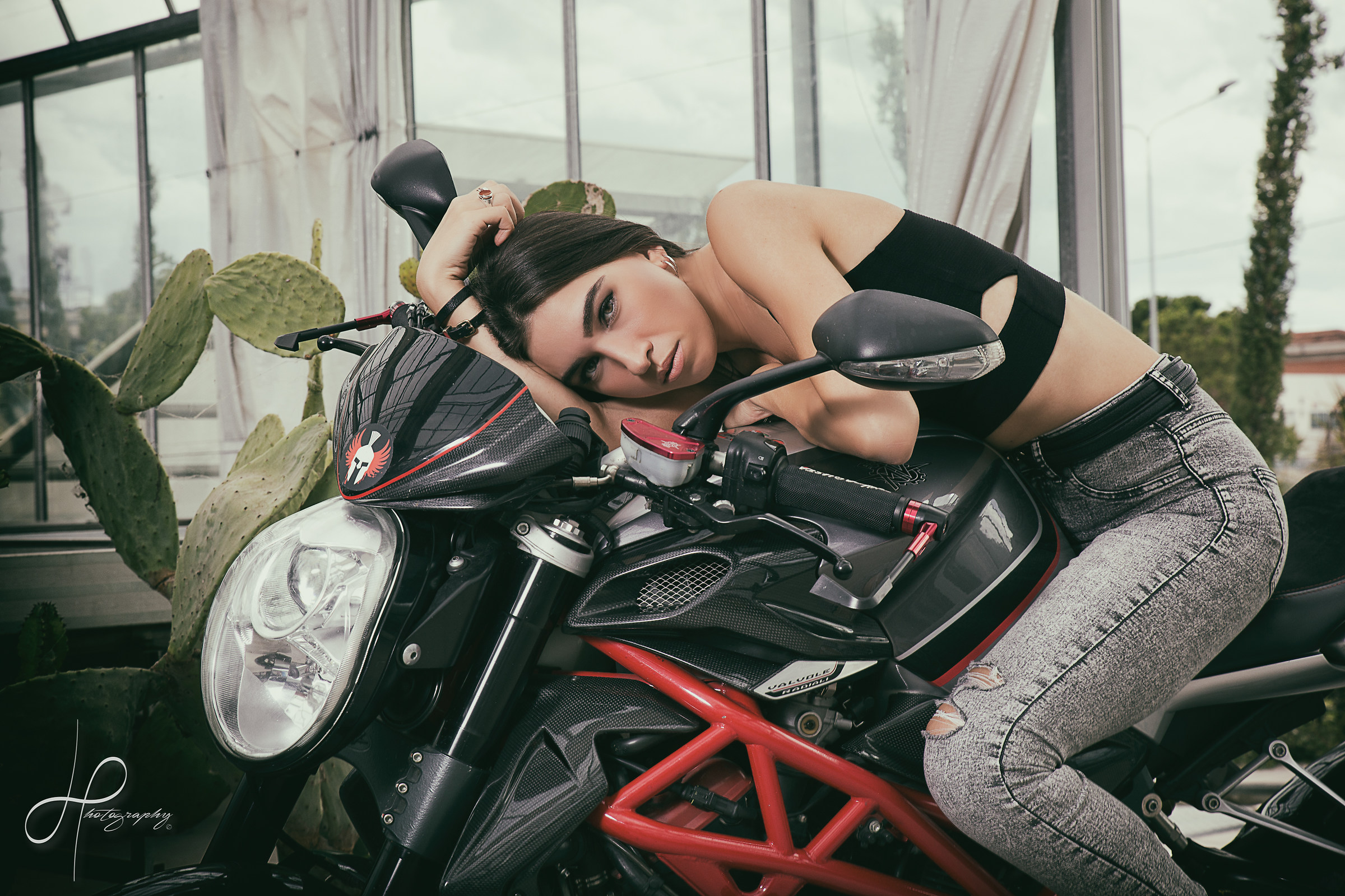 Isabella and the Beast ....