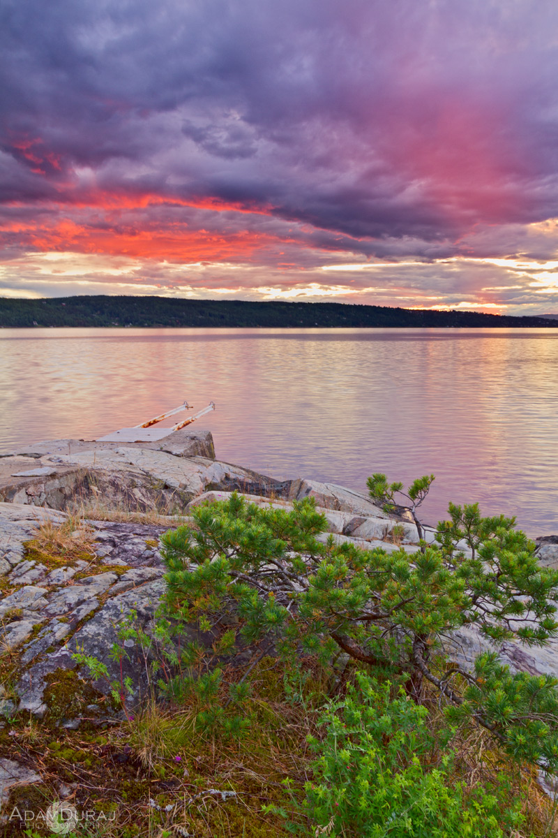 Little tree and the broken bridge