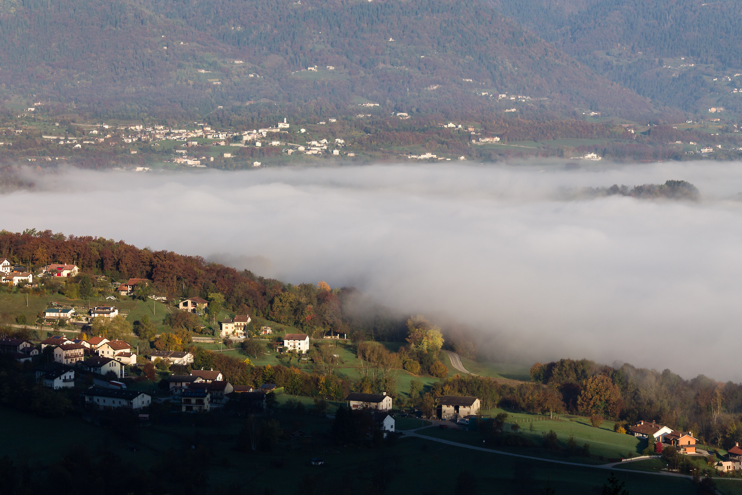 City on the Sea of ??Fog