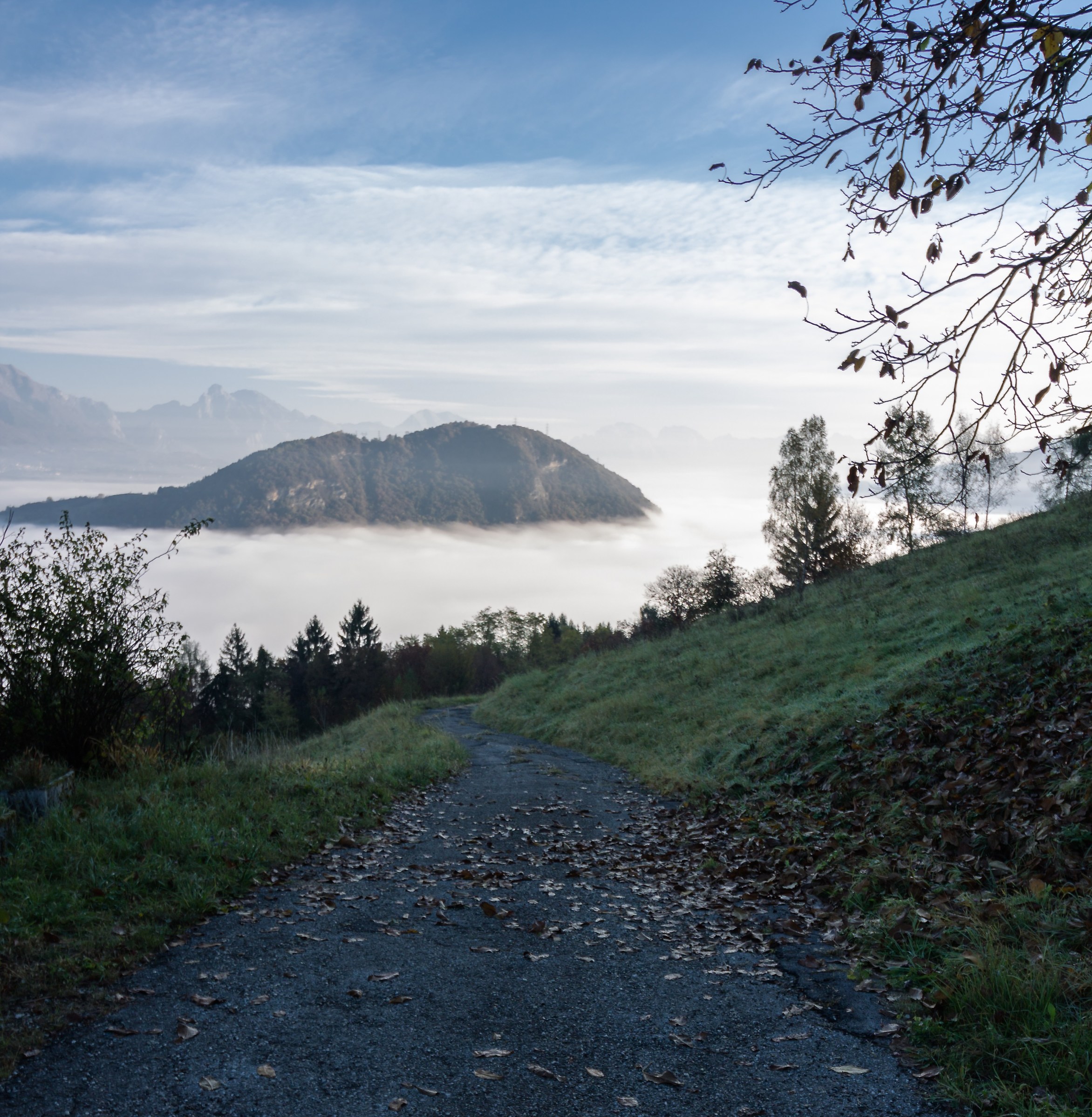 Path to the Sea of ??Fog