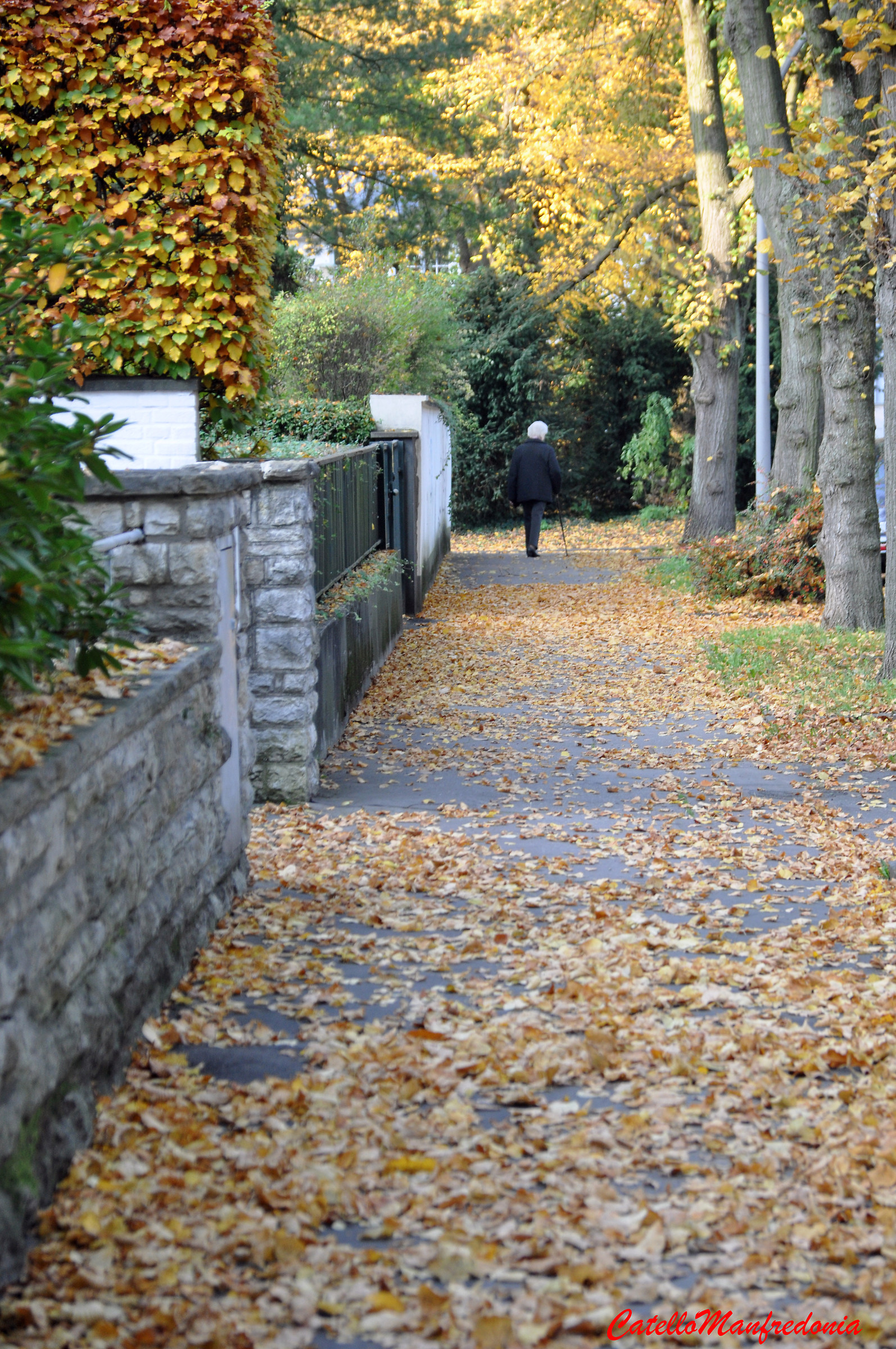 Sunset Boulevard ...