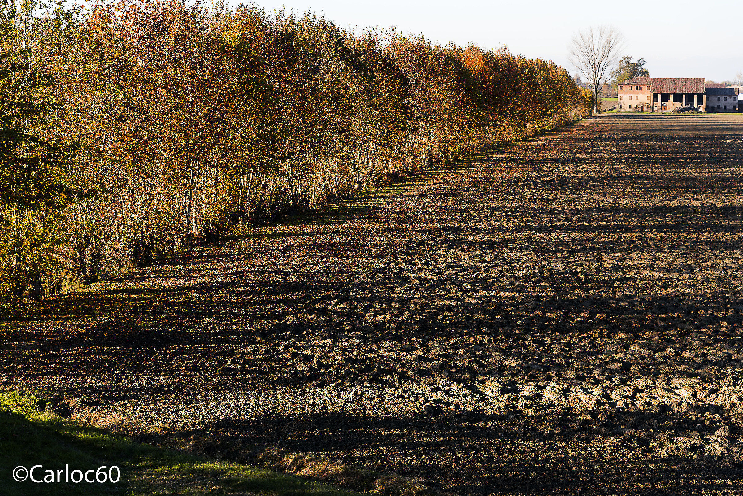 Mantua autumn colors