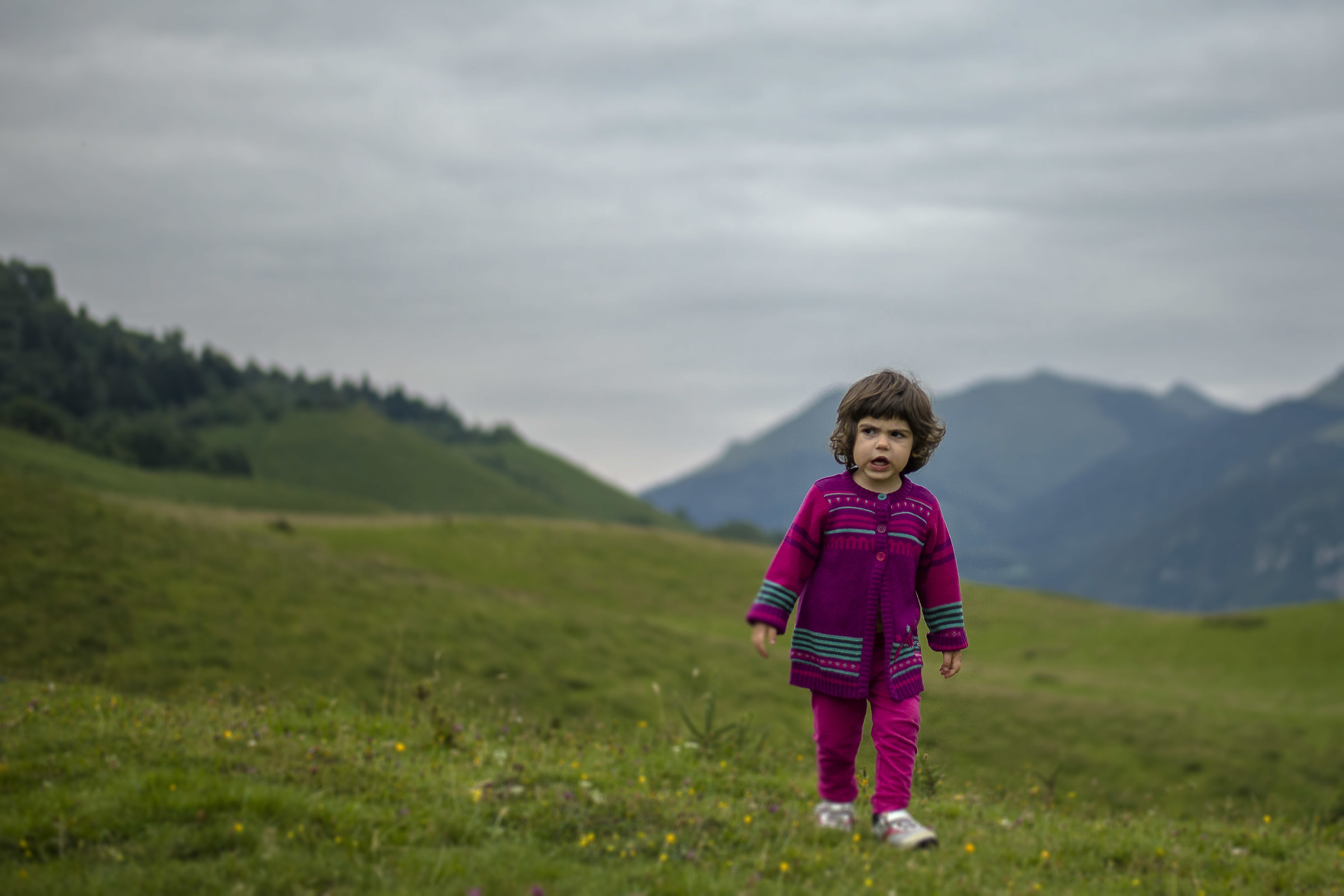 Gente allegra il ciel l'aiuta