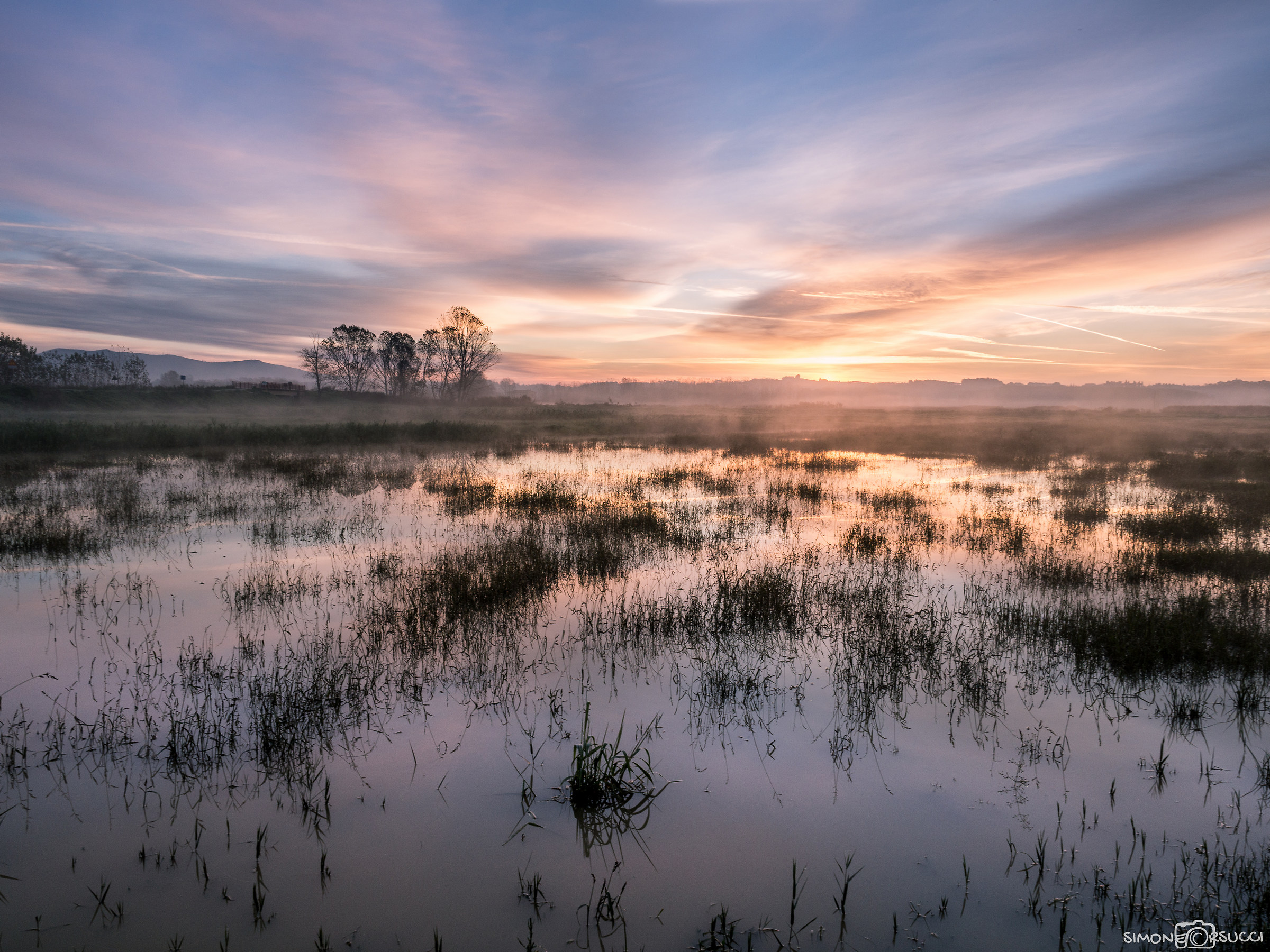 Sunrise in the swamp