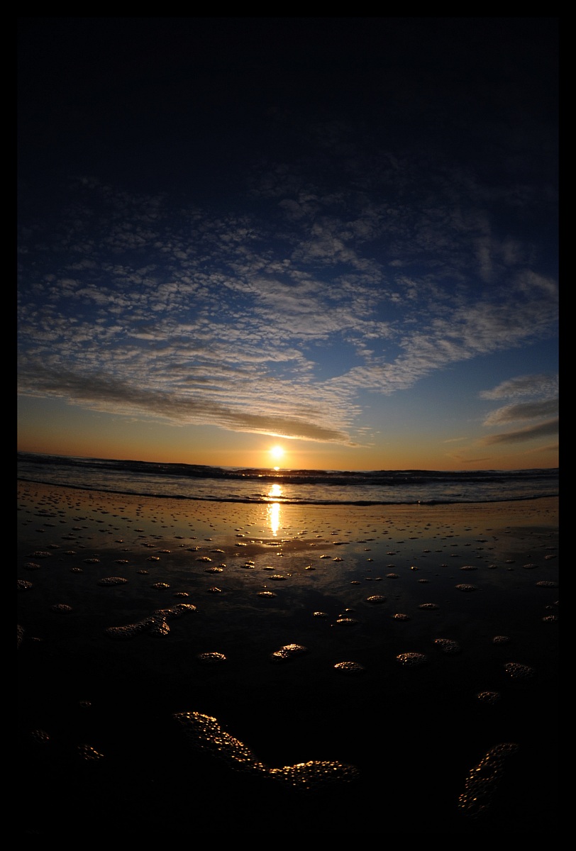Fish Eye Sea Light