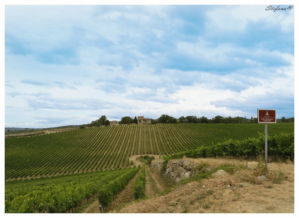 The ways of the chianti classico