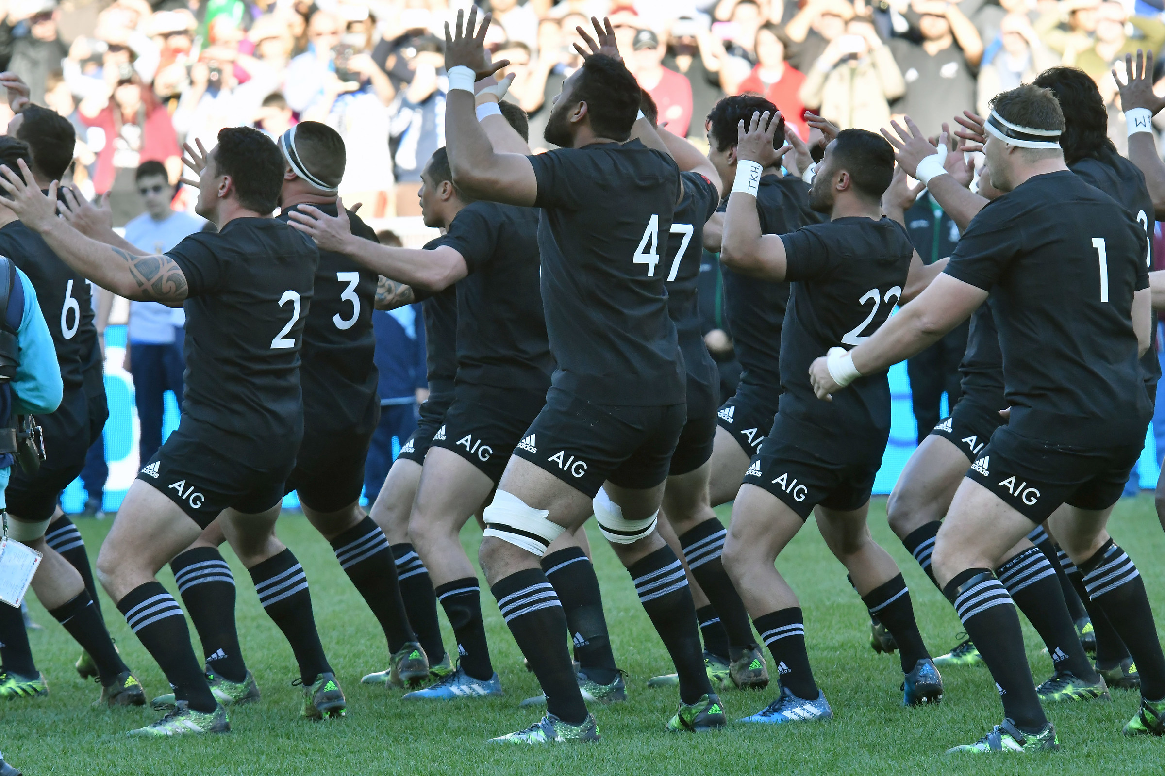 Italia Nuova Zelanda