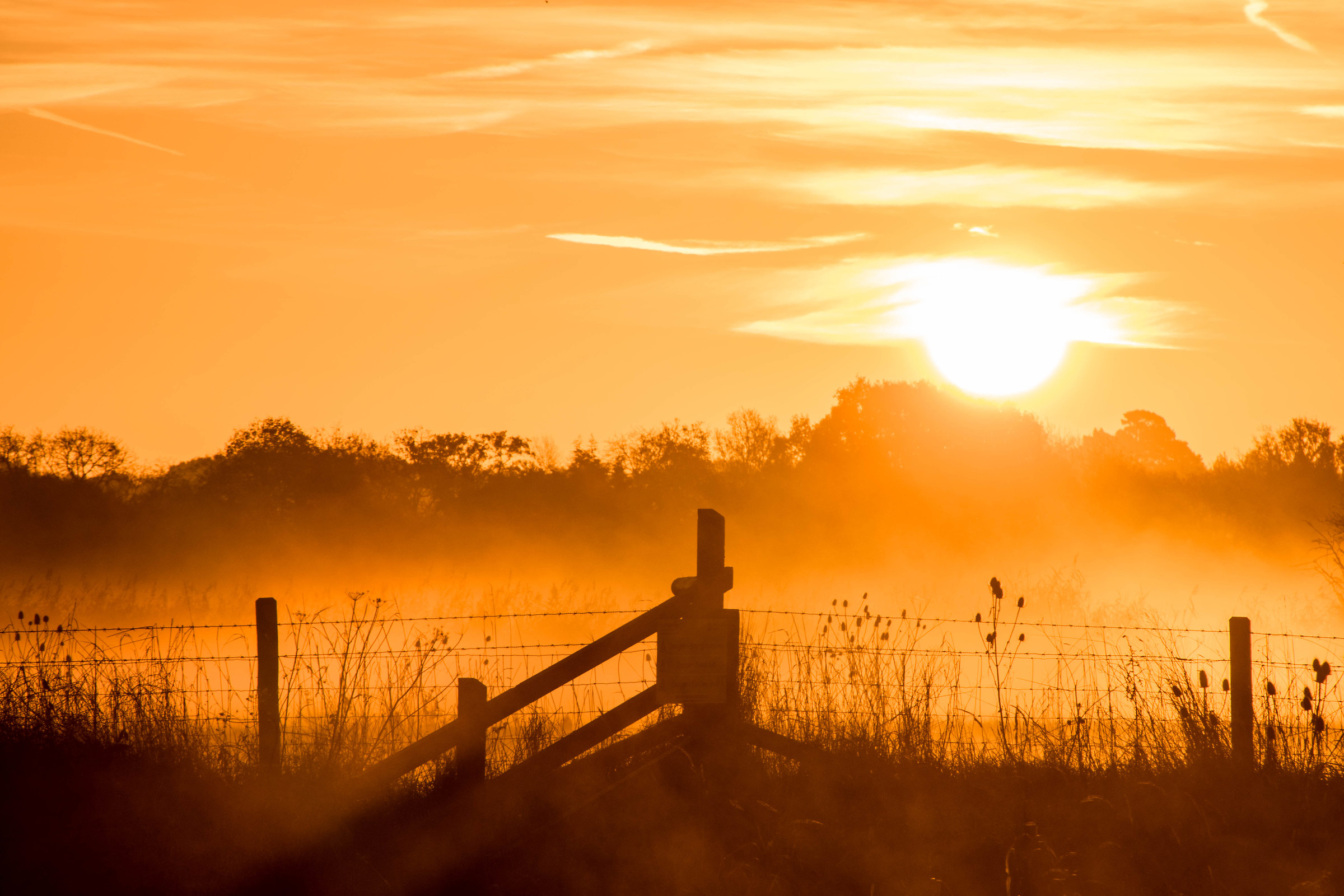 Like A Smoking Cauldron