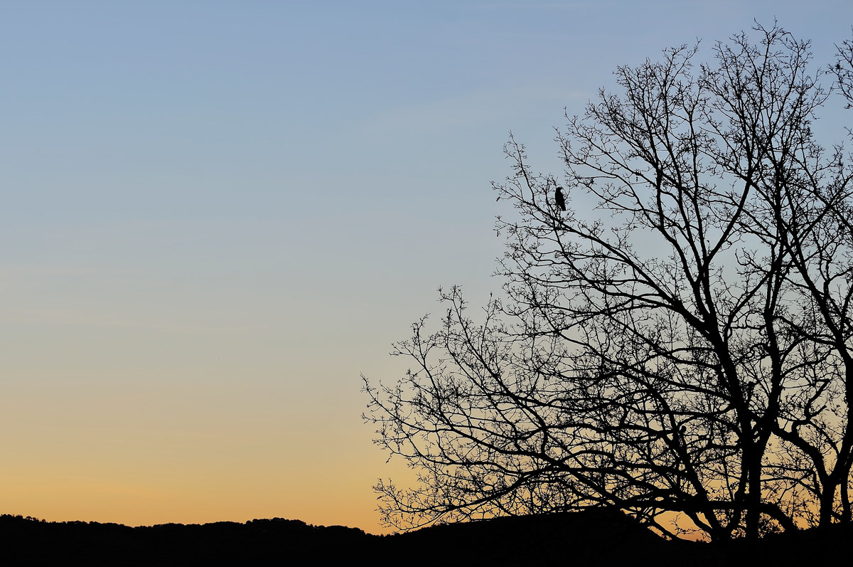 Silhouette - Civitella Alfedena 20161101