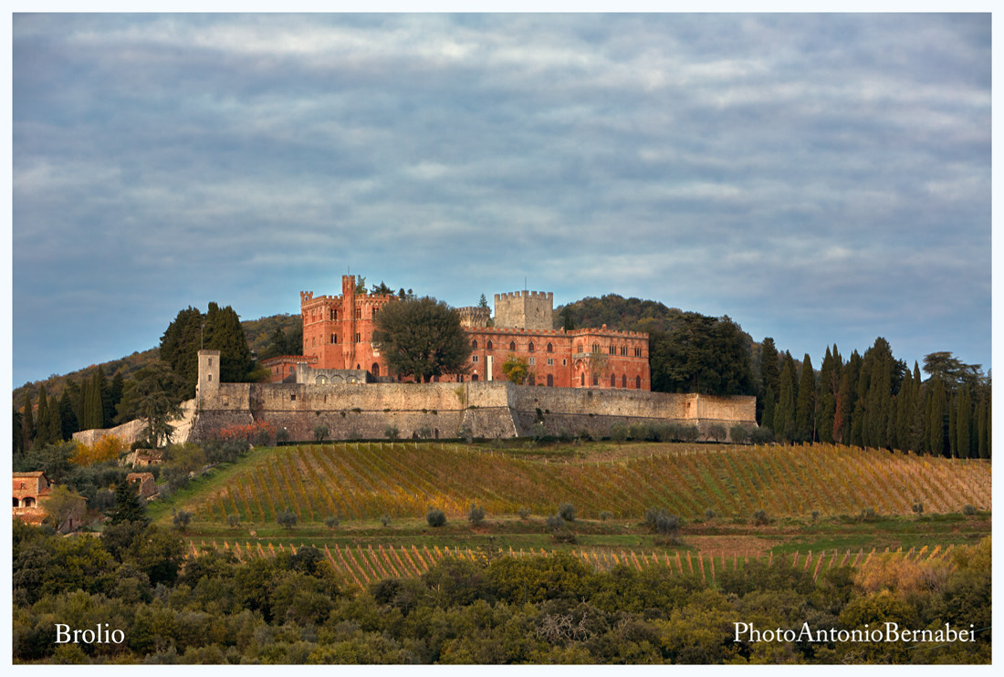 Brolio SI
