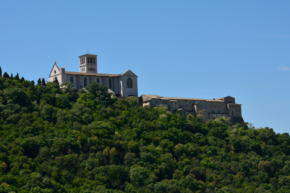 Il bosco di San Francesco