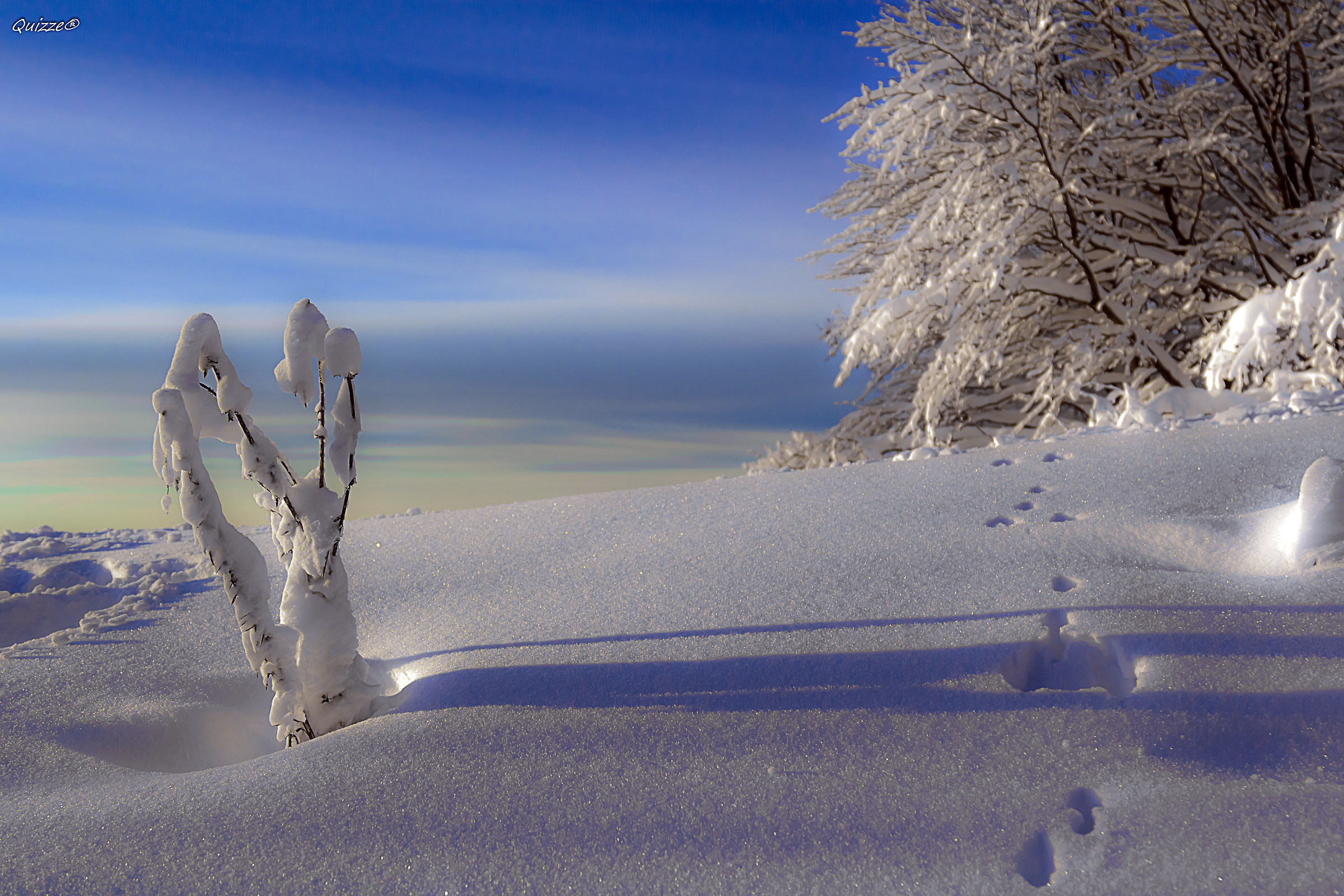 "La prima neve a modo mio - Autunno '16"