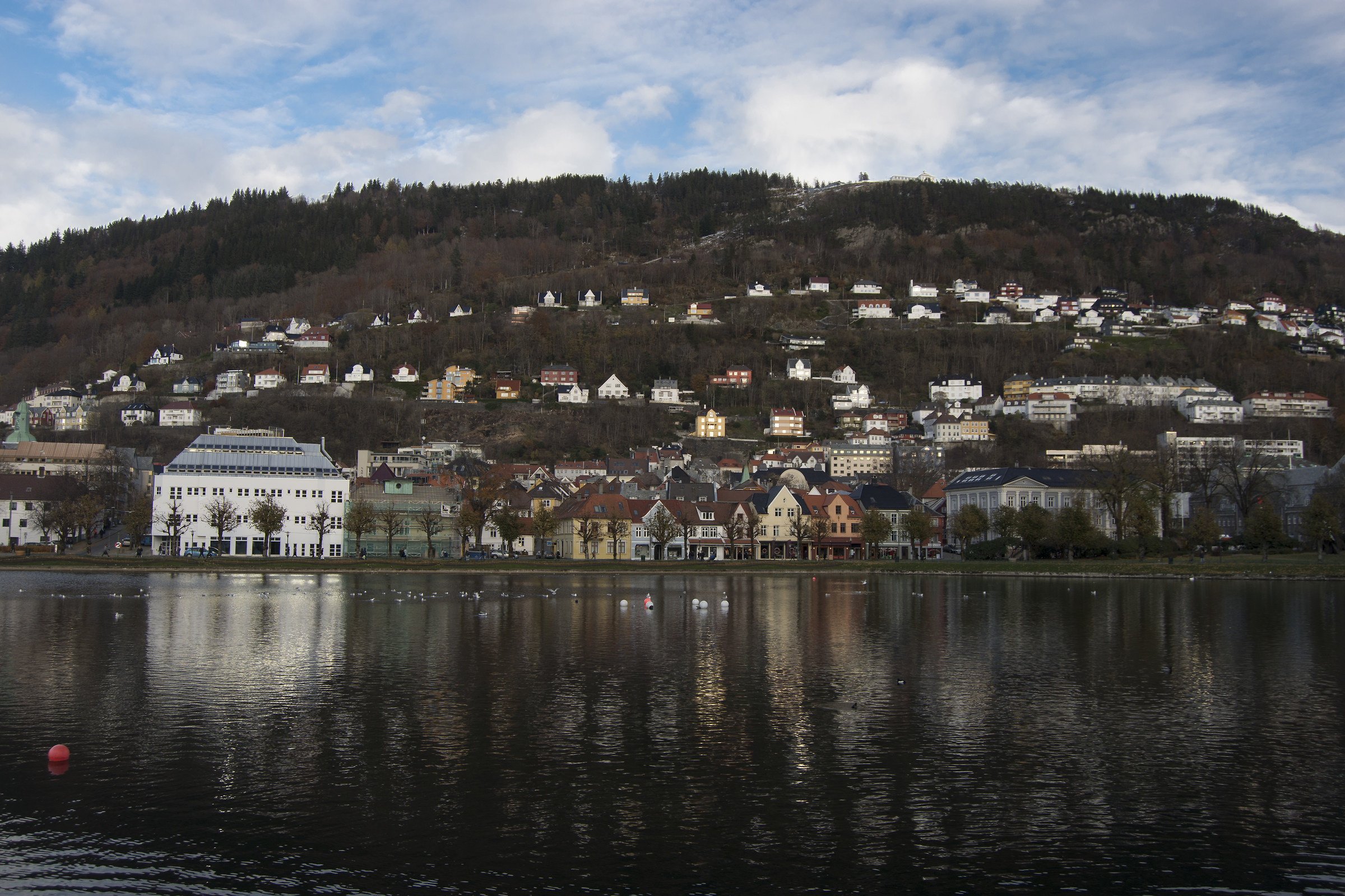 reflects Bergen