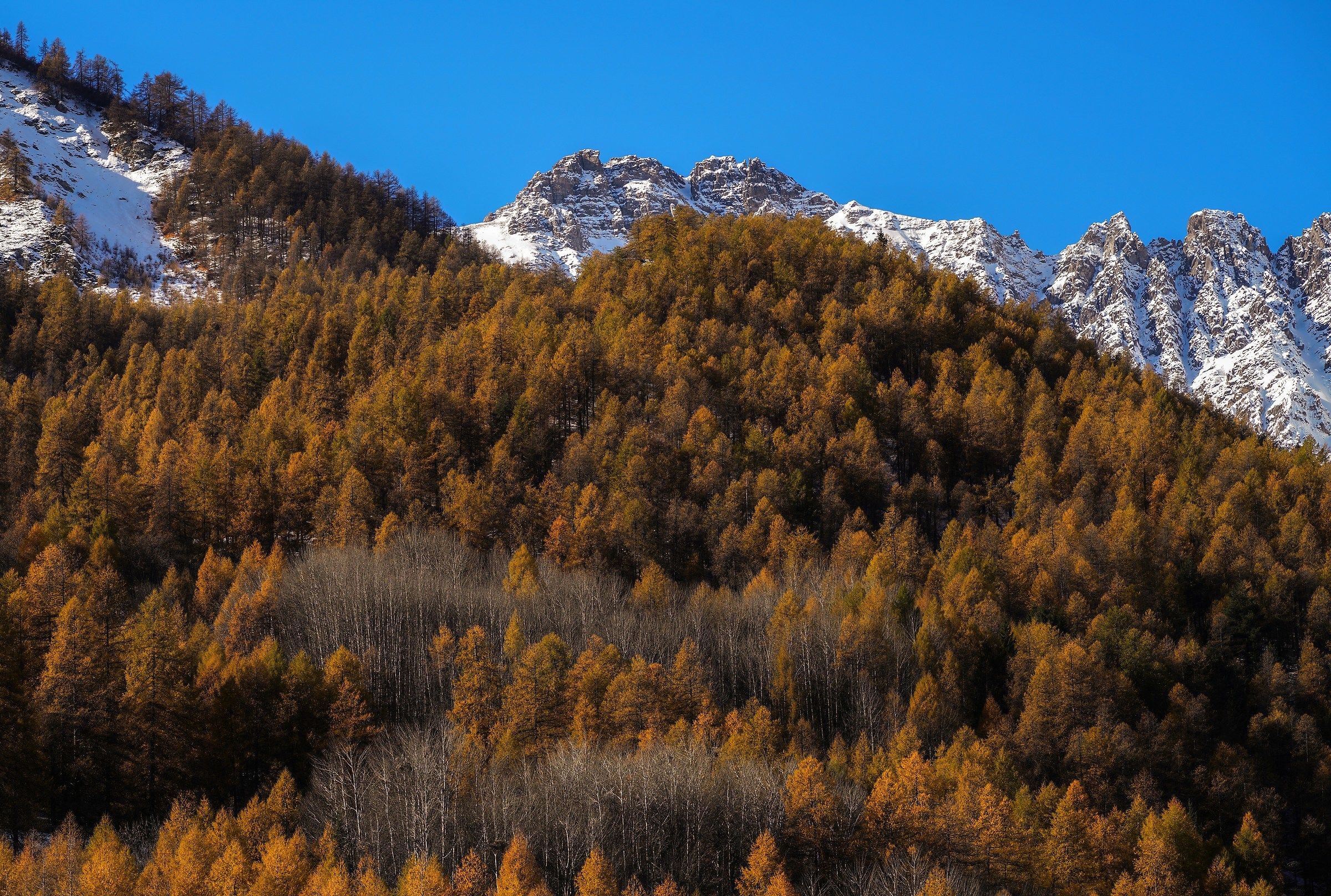 Colori d' autunno a Bardonecchia test Sony a99 II