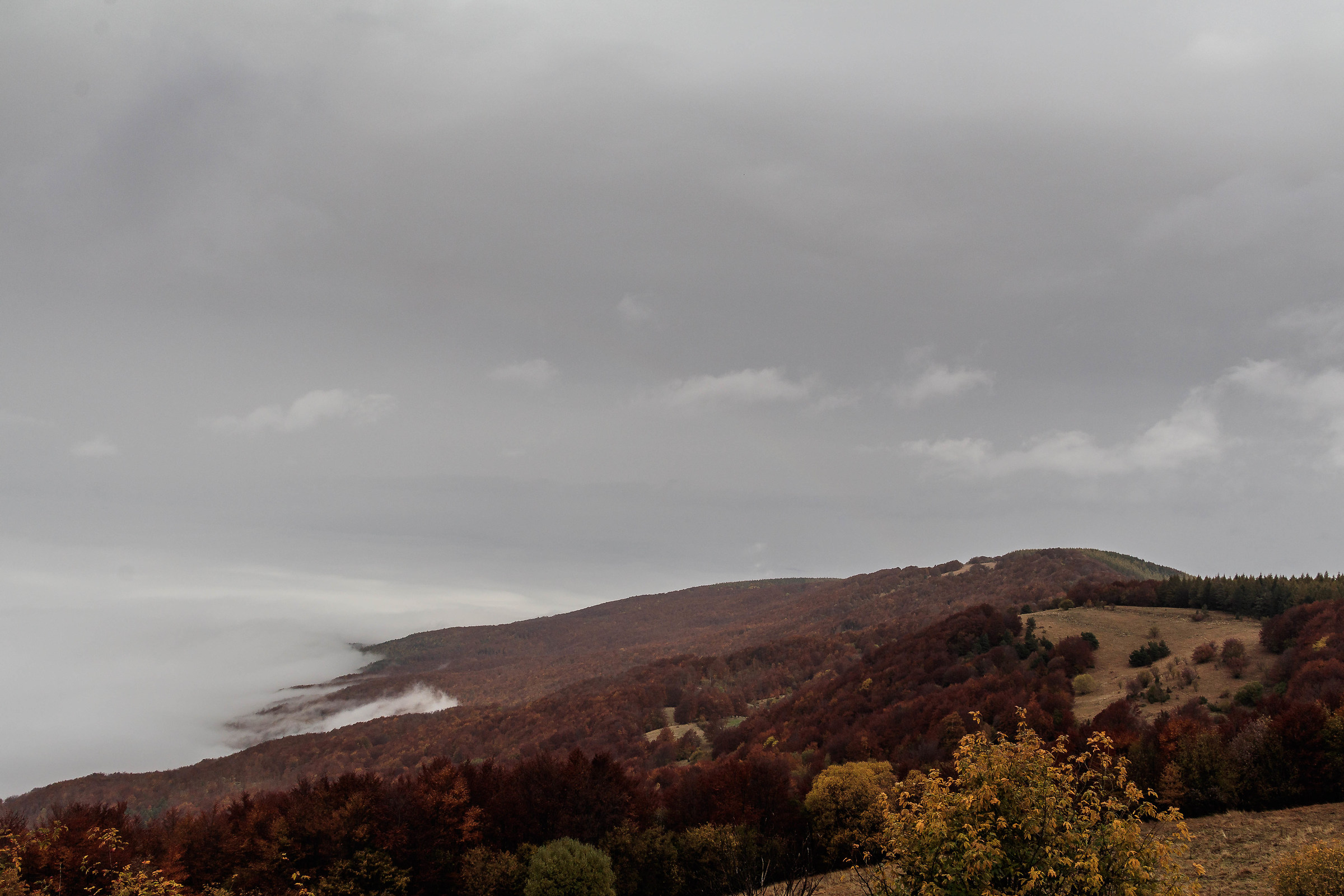 Una giornata uggiosa