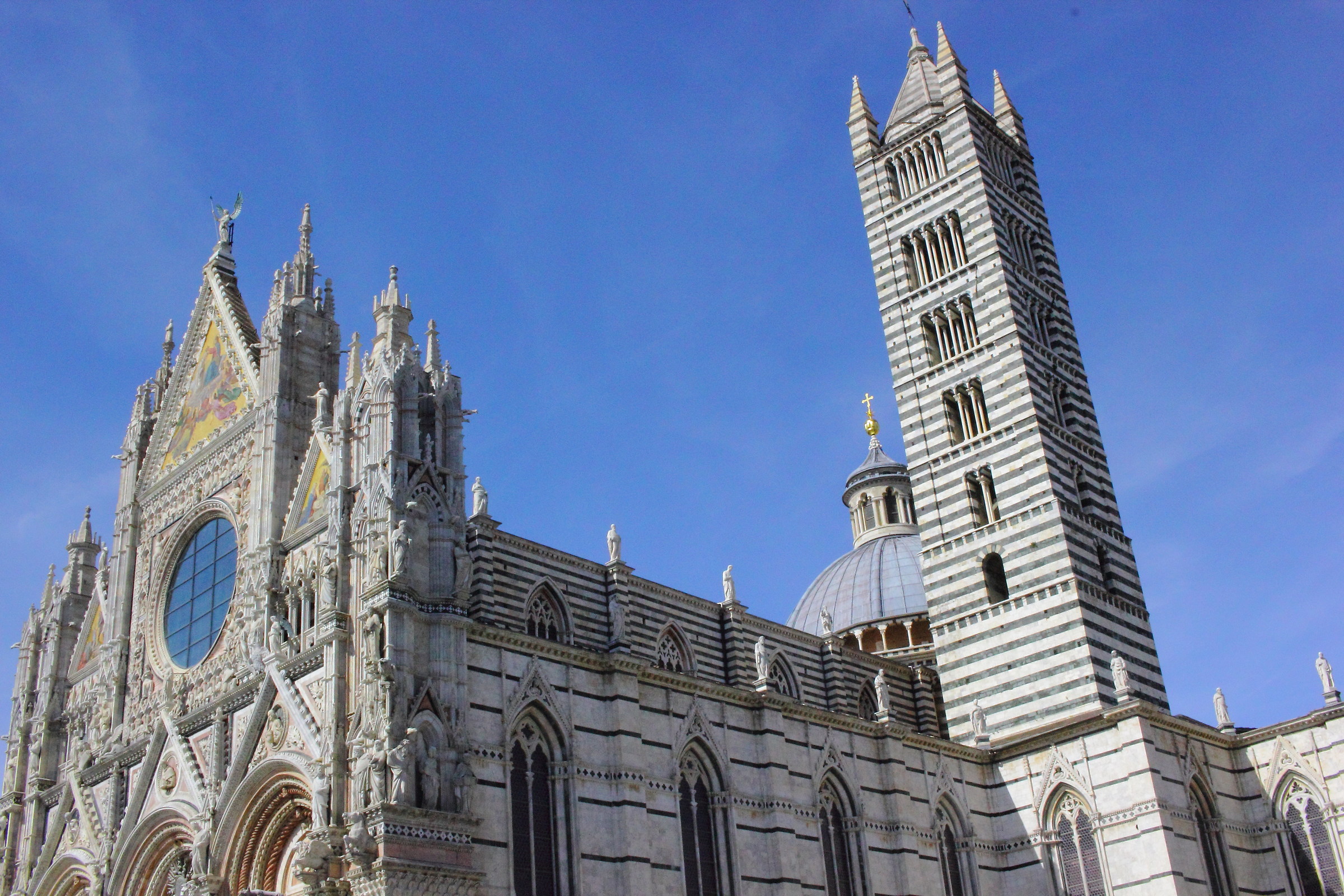 in the cathedral company