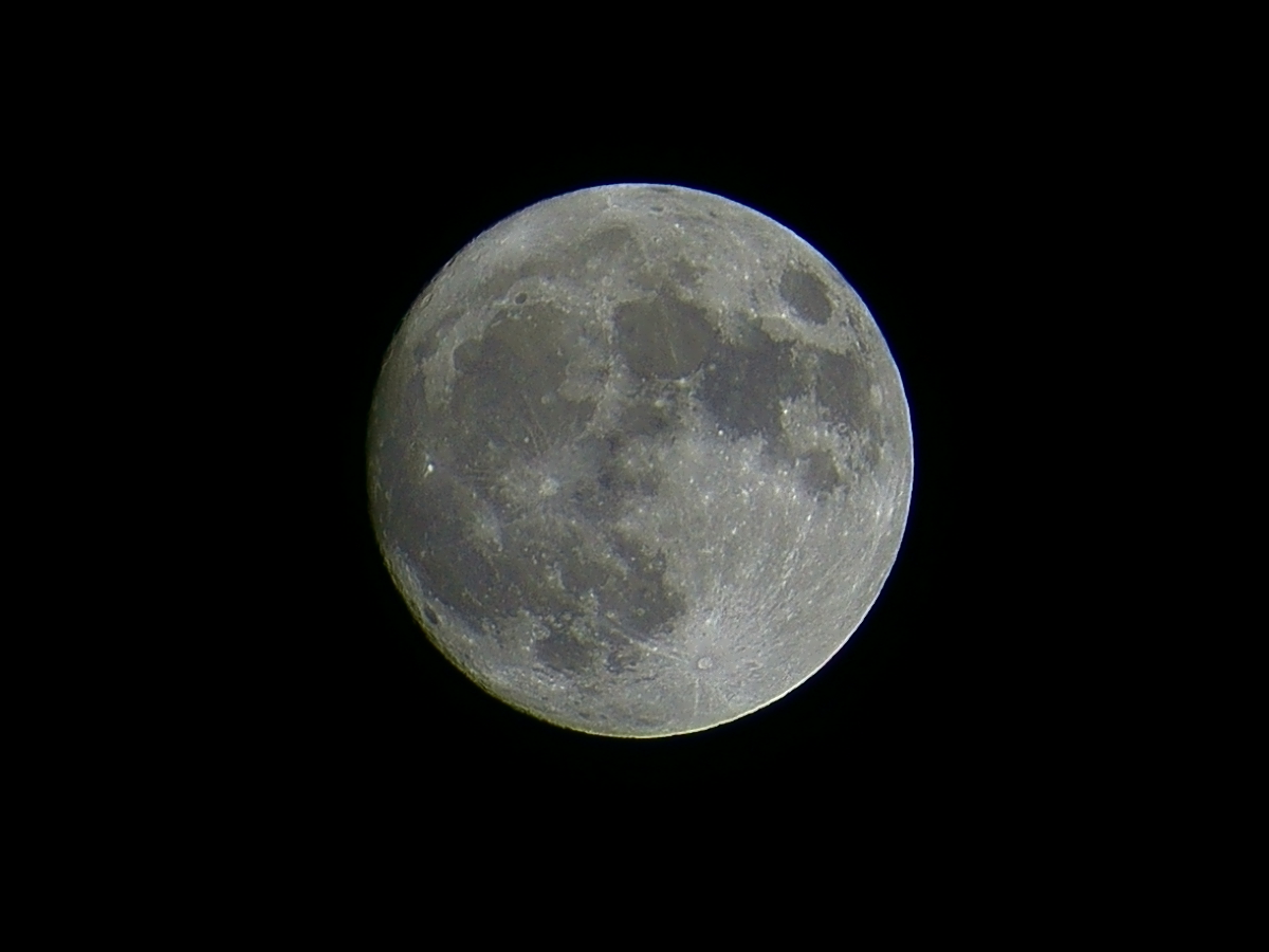 Semplice luna