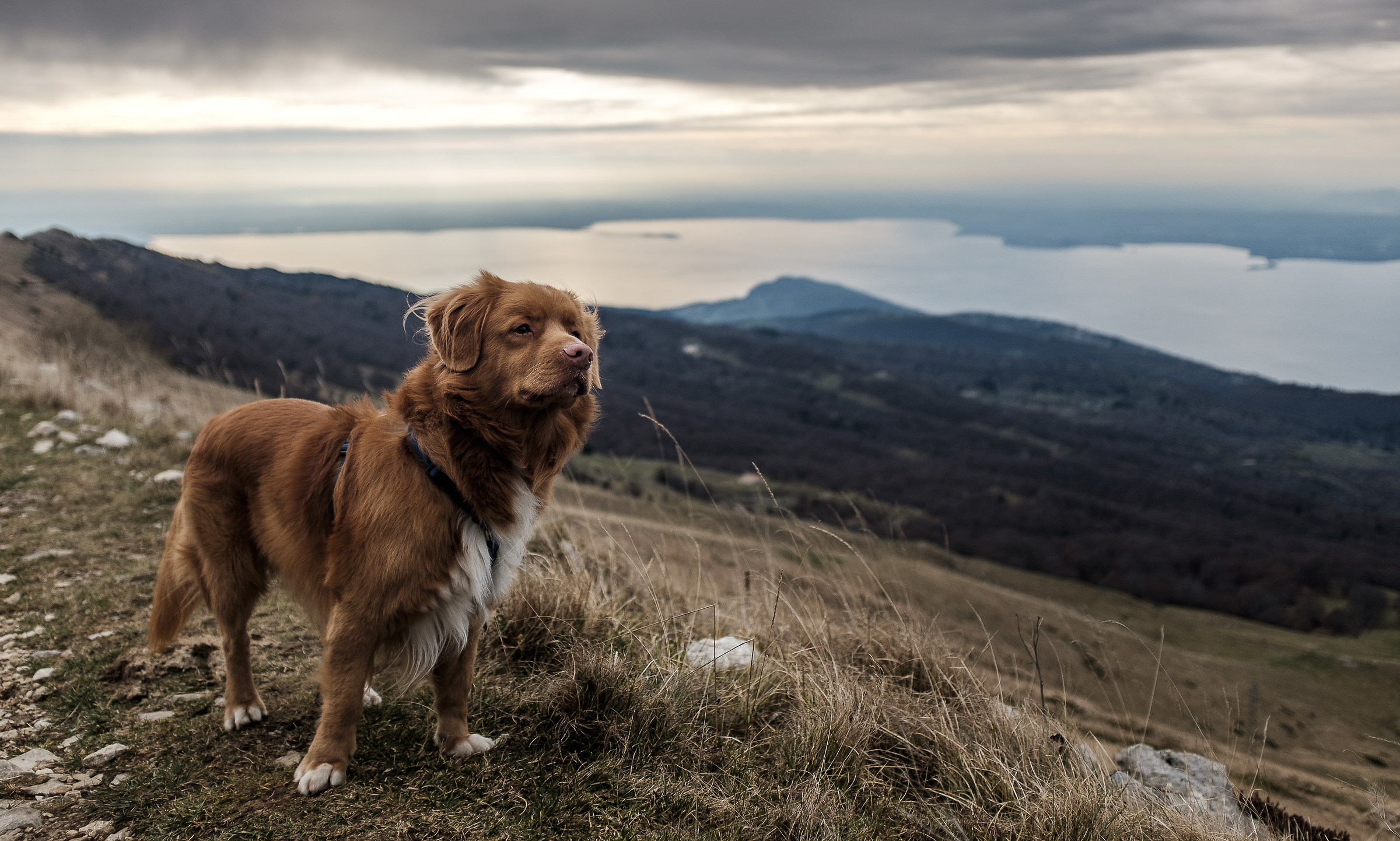 Trip on the Monte Baldo