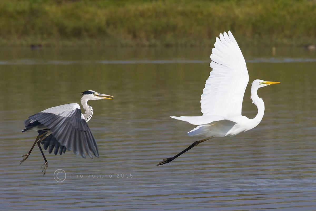 So ..... "I catch you"