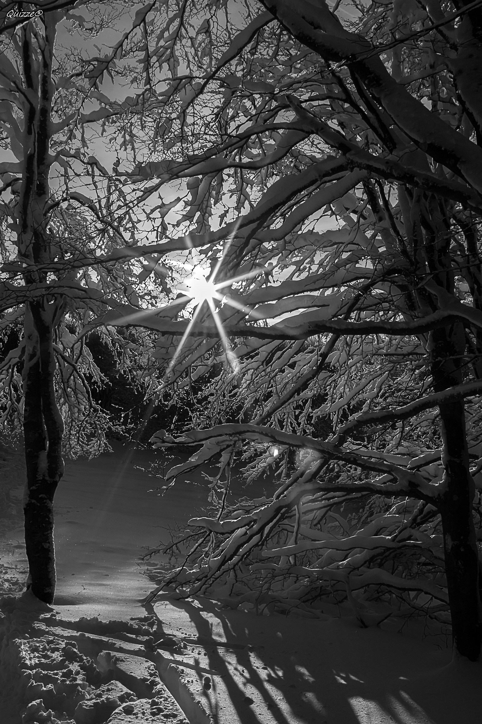 "Neve Black & White"