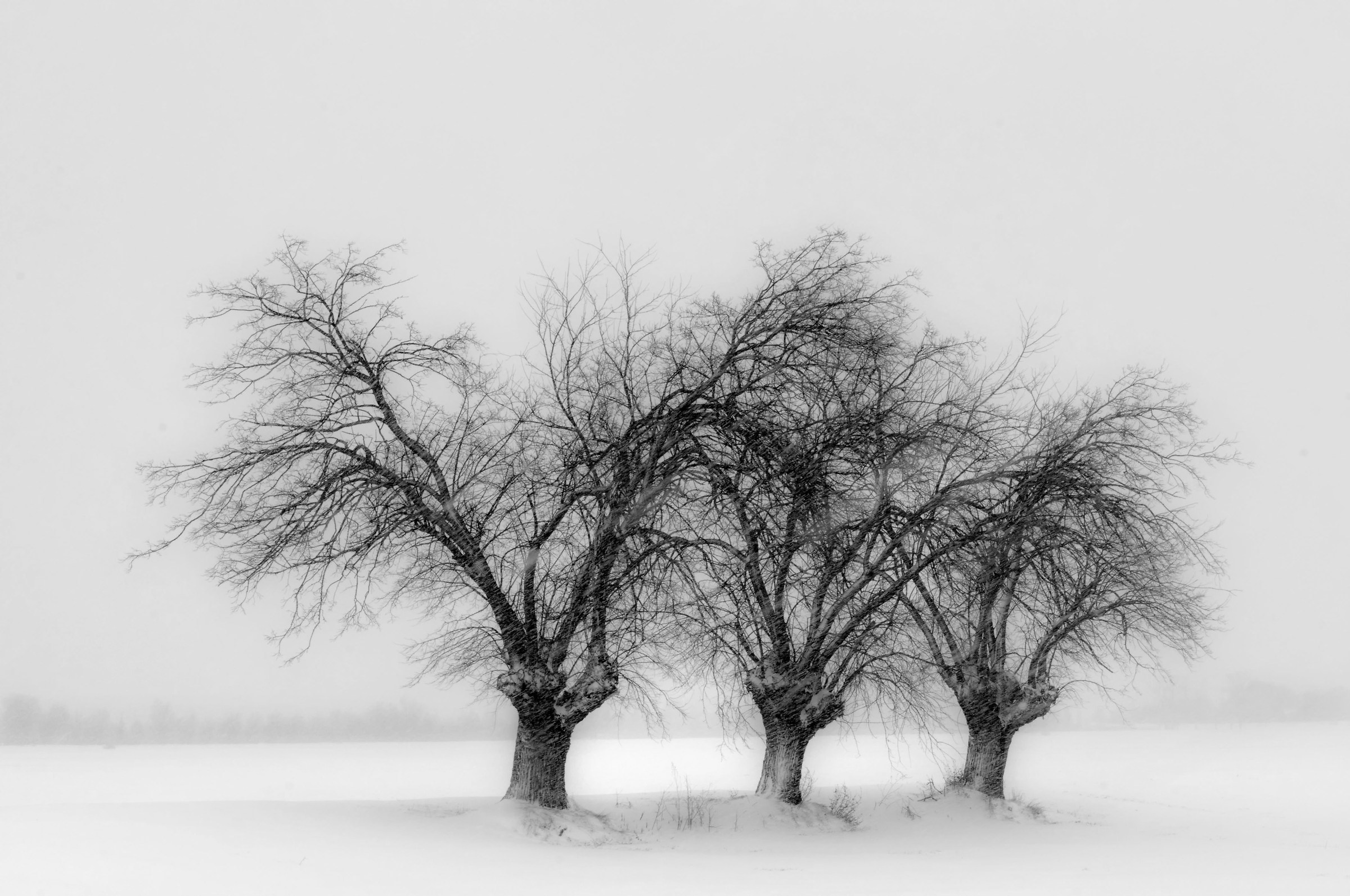 The quiet road of snow