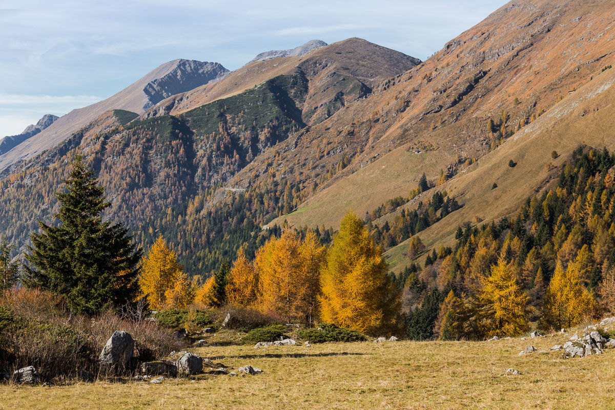 Fall to Campelli Schilpario (Scalve)