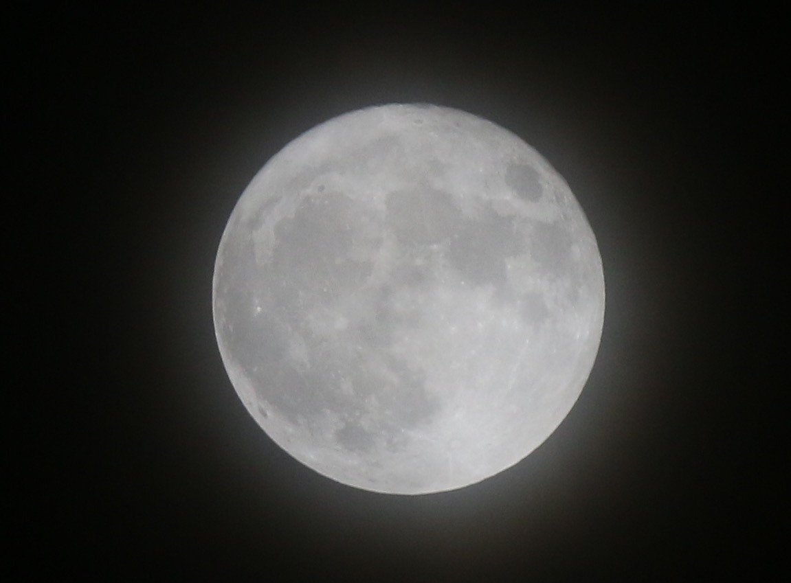 Luna twenty-first century