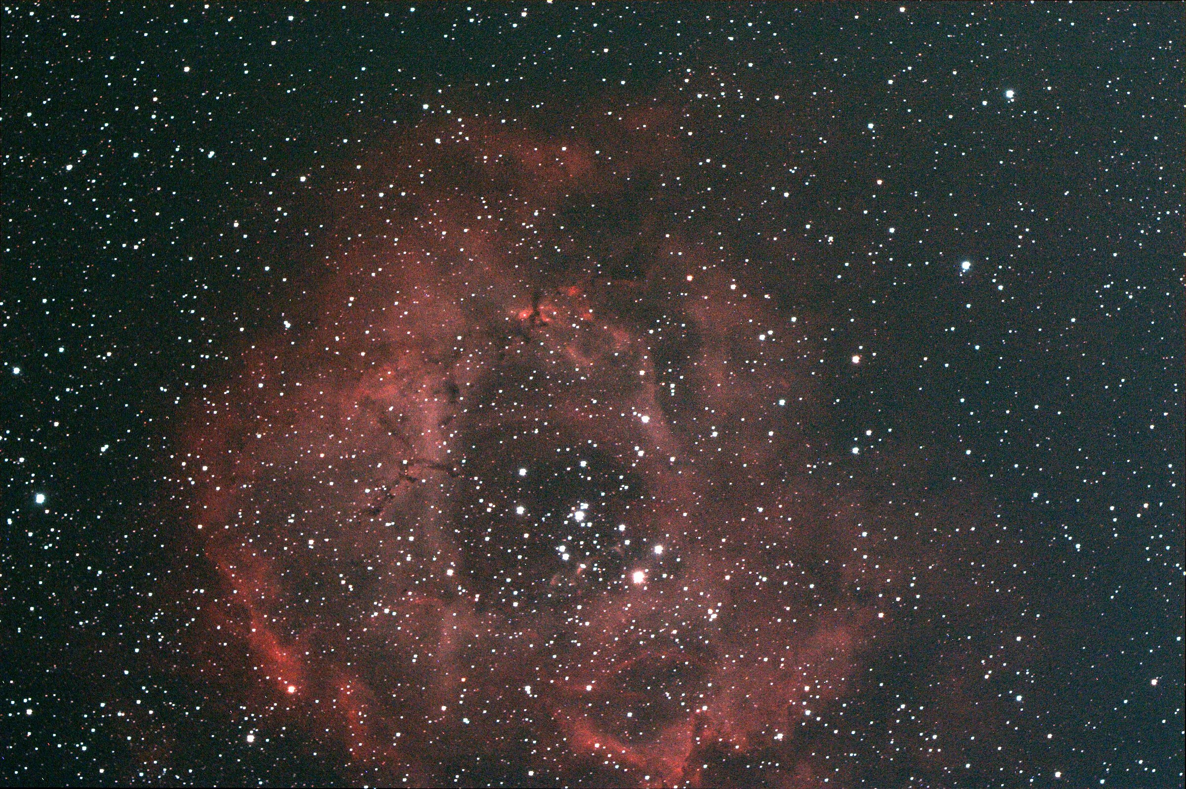 Rosette nebula