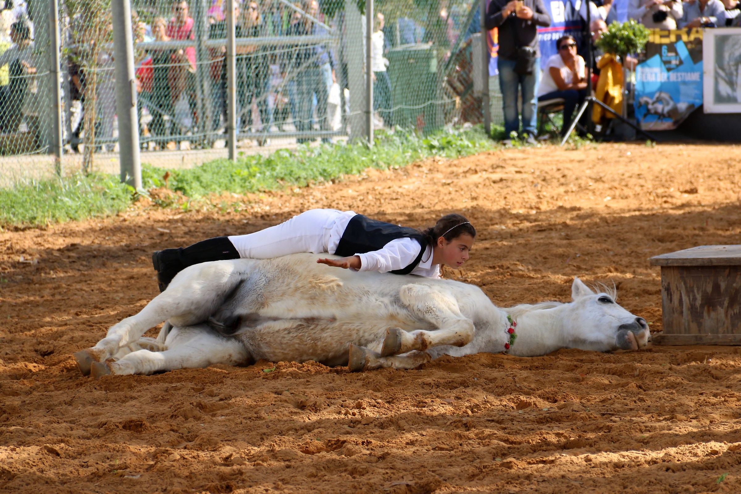 il sogno di una bimba