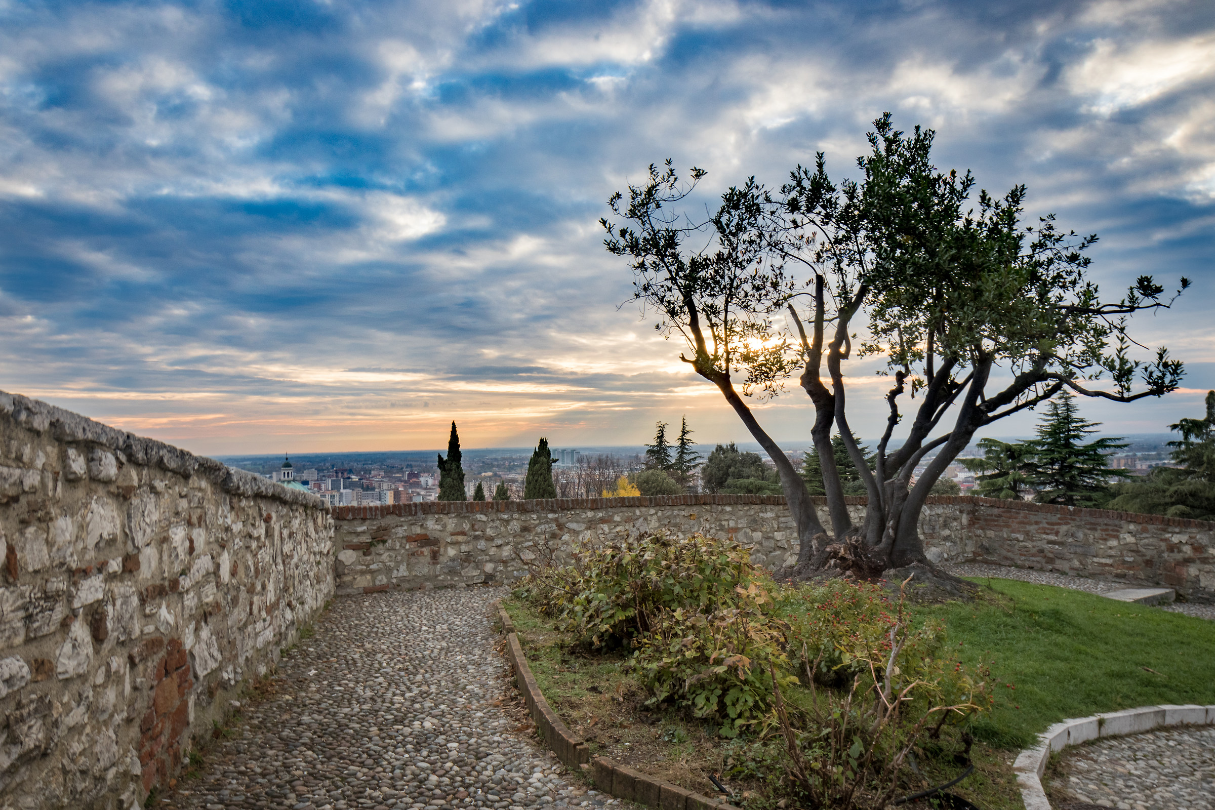 L'albero del castello