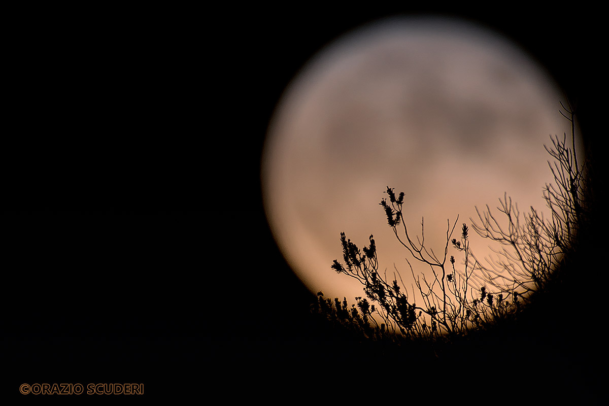 La mia Luna...
