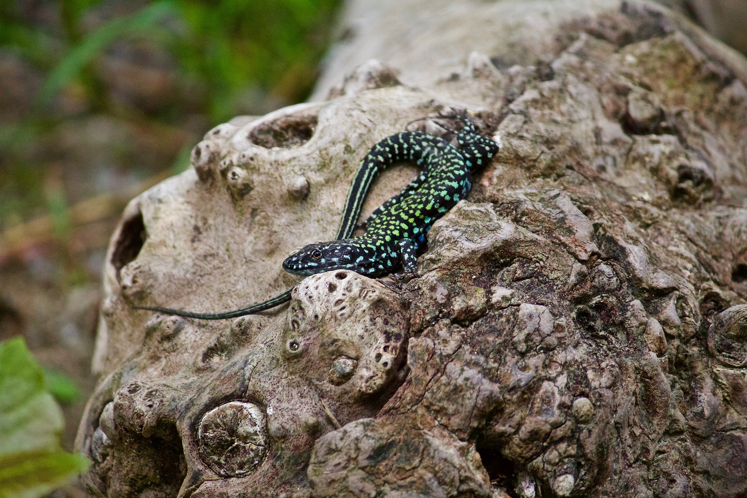 Oggi prendo un po di sole