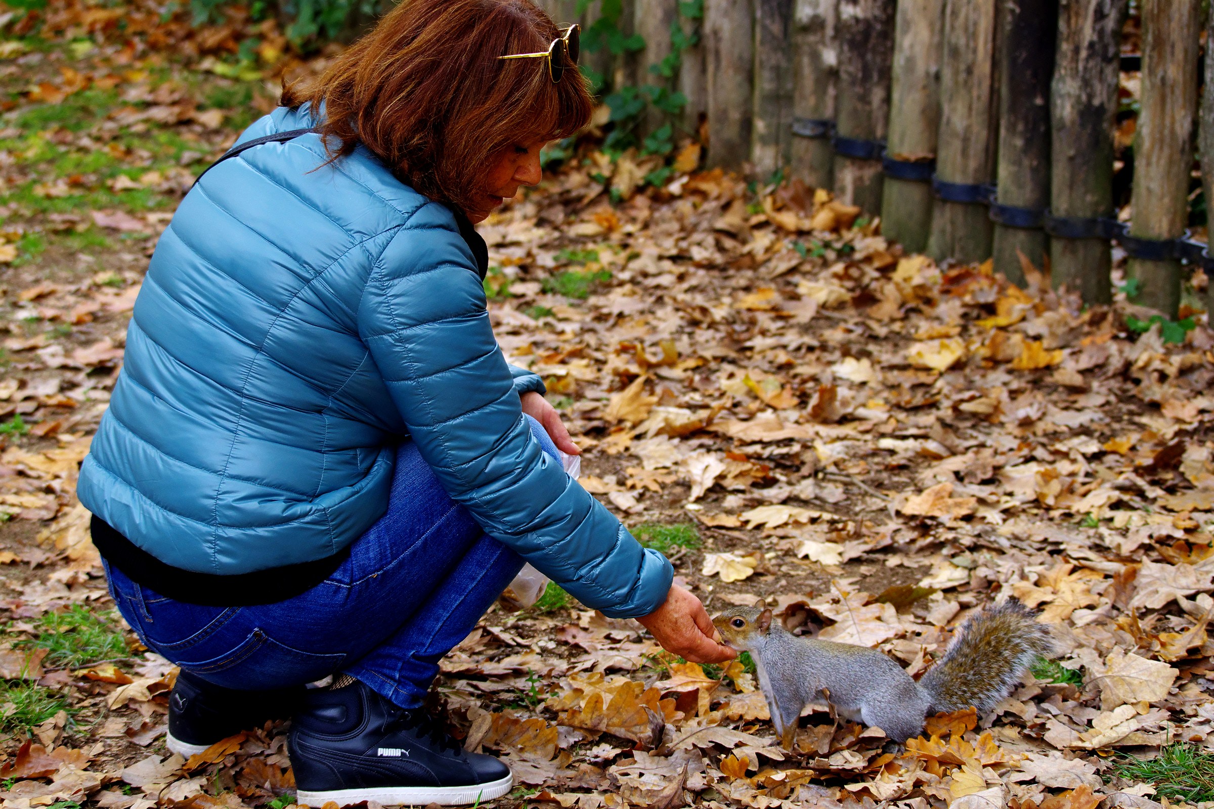 Feed the hungry ...!