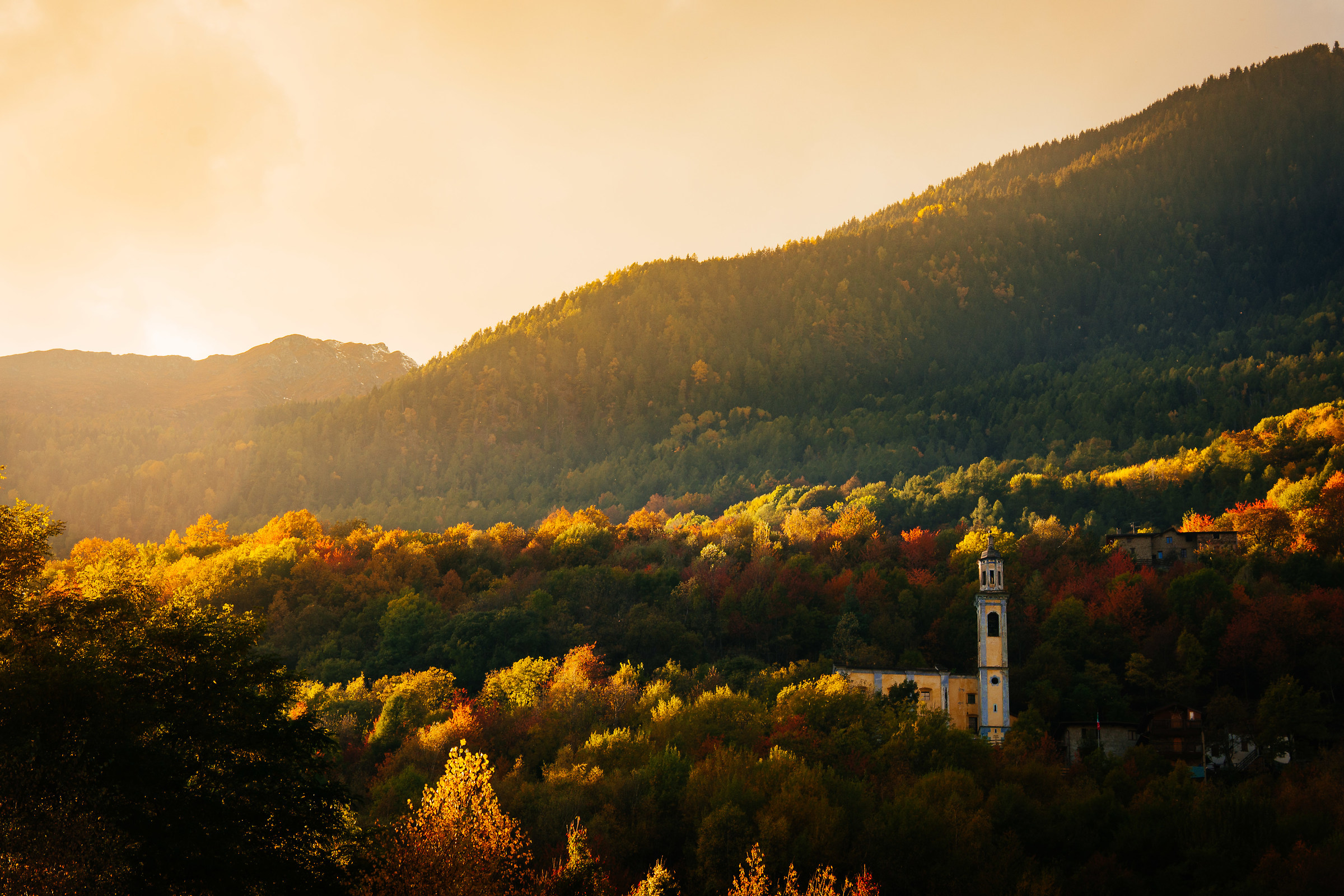 When the leaves turn the forests of flowers