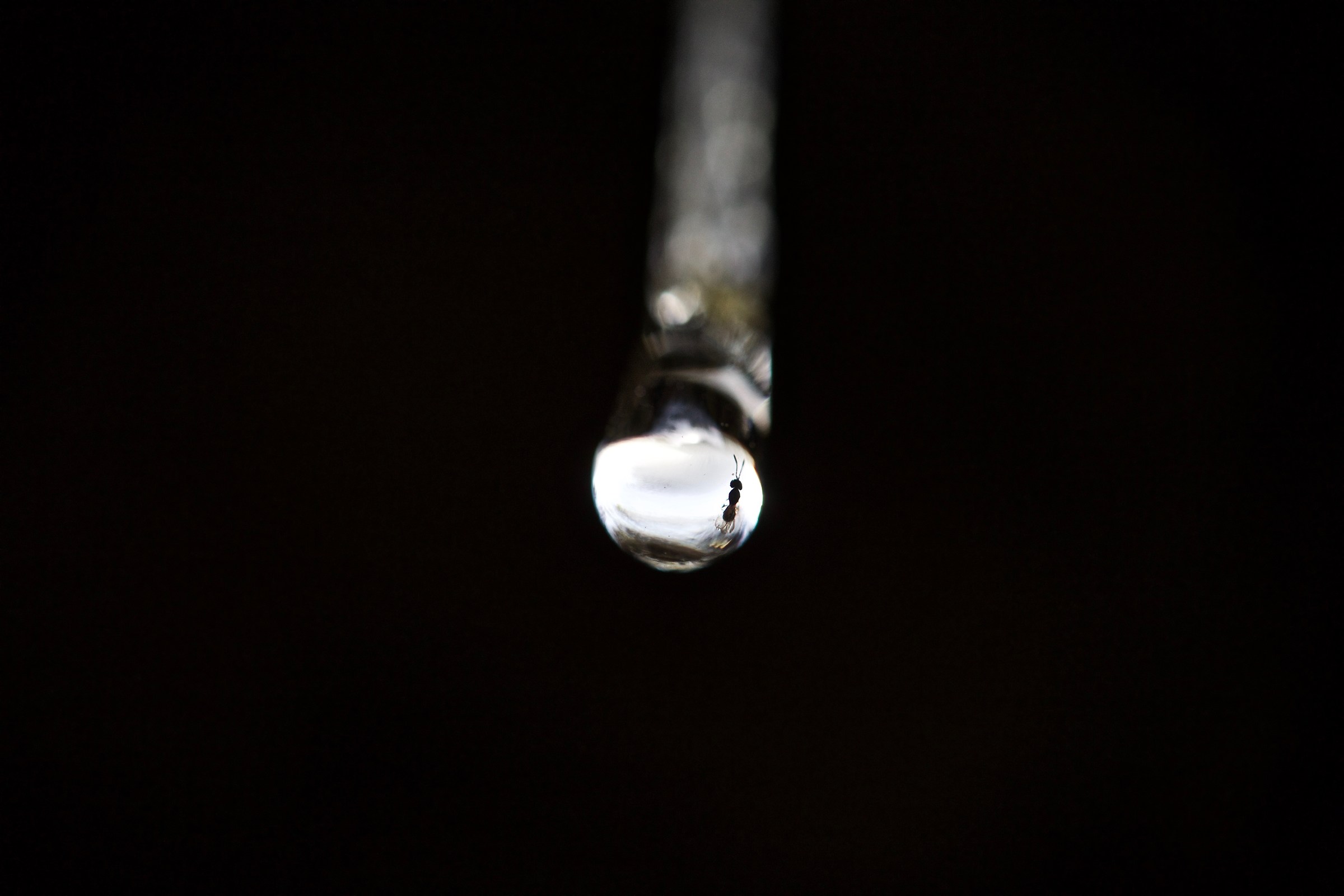 Moments captured for eternity