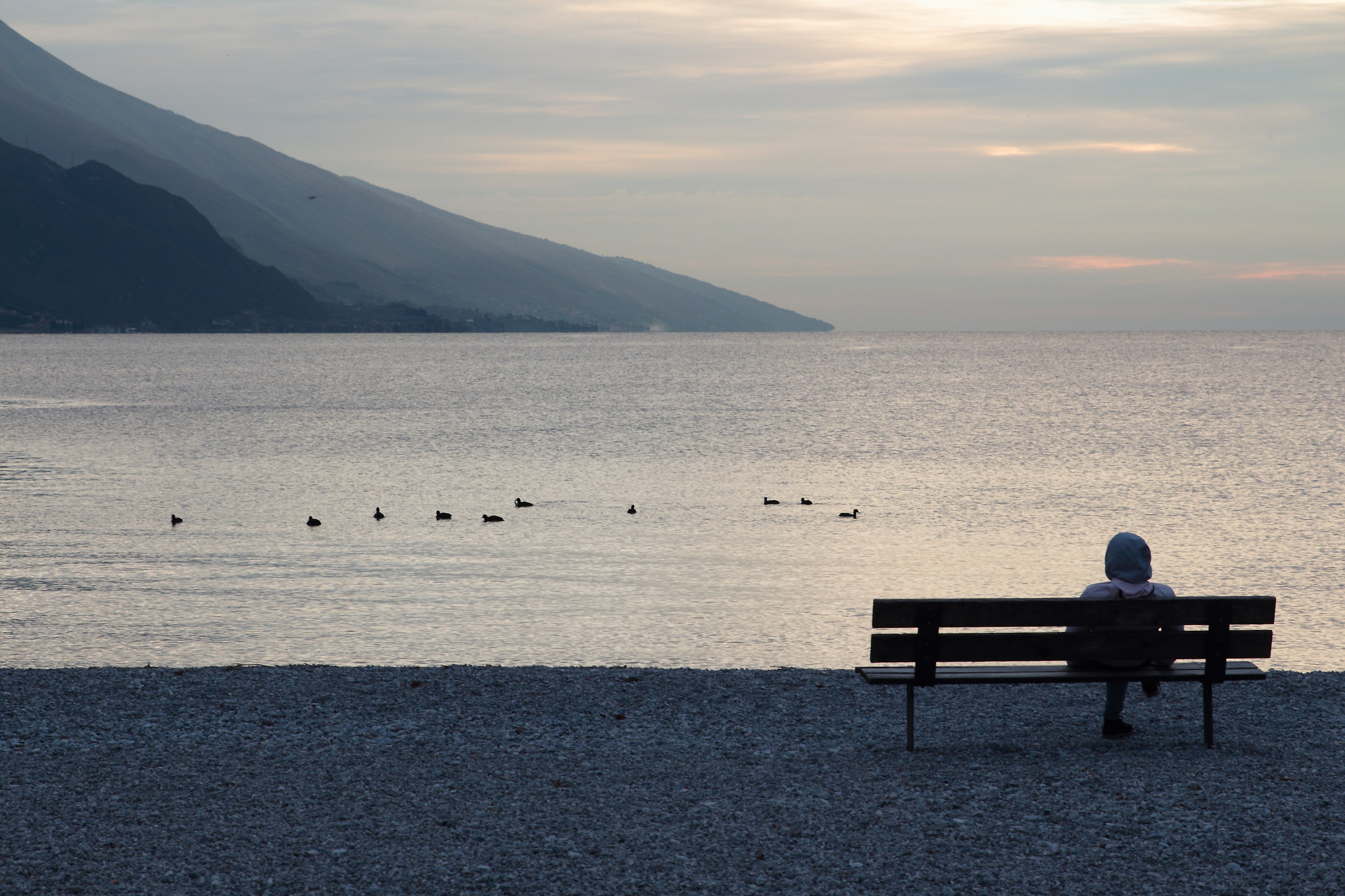 assorta nel paesaggio